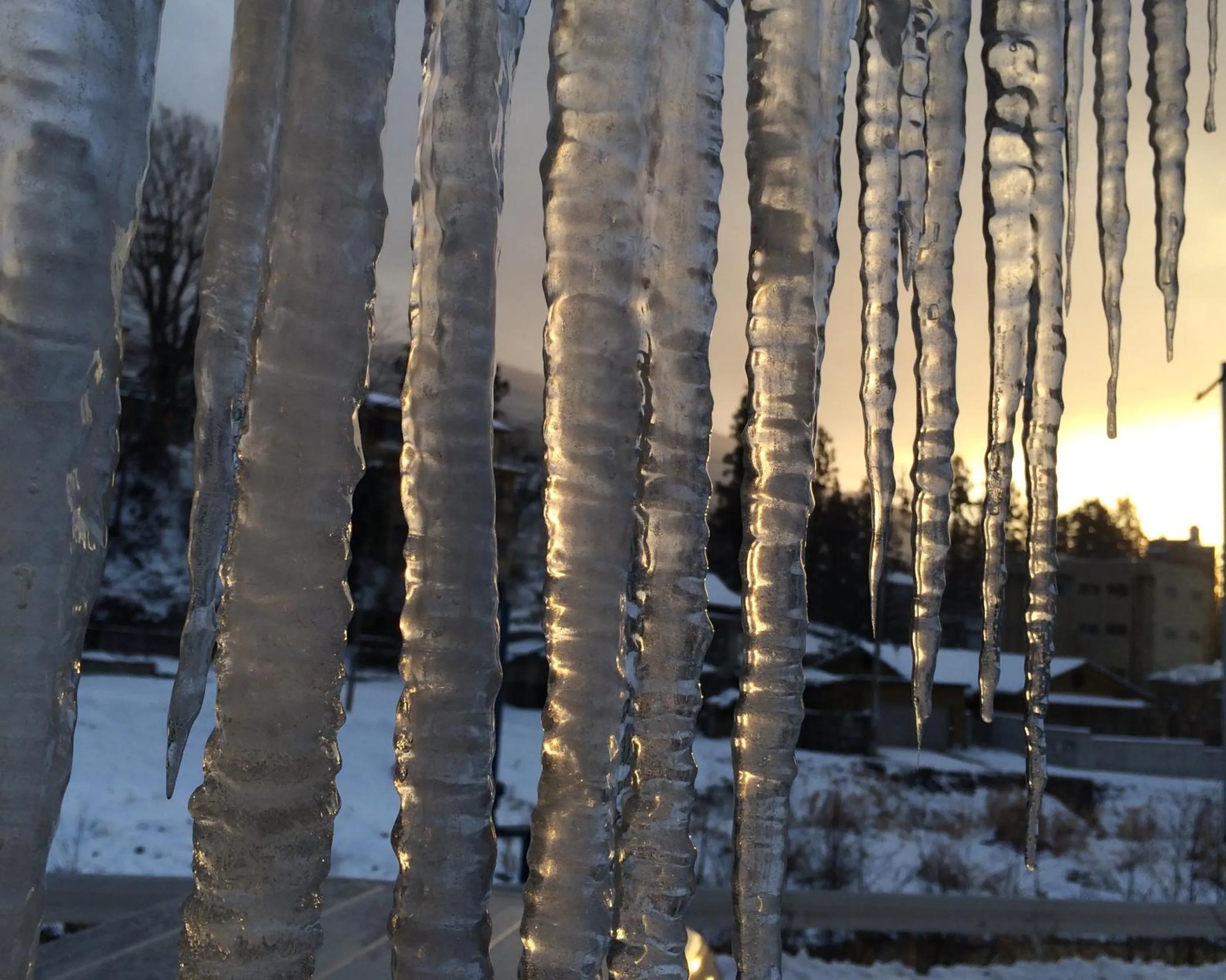 Winter in Yudanaka Onsen Yamazakiya