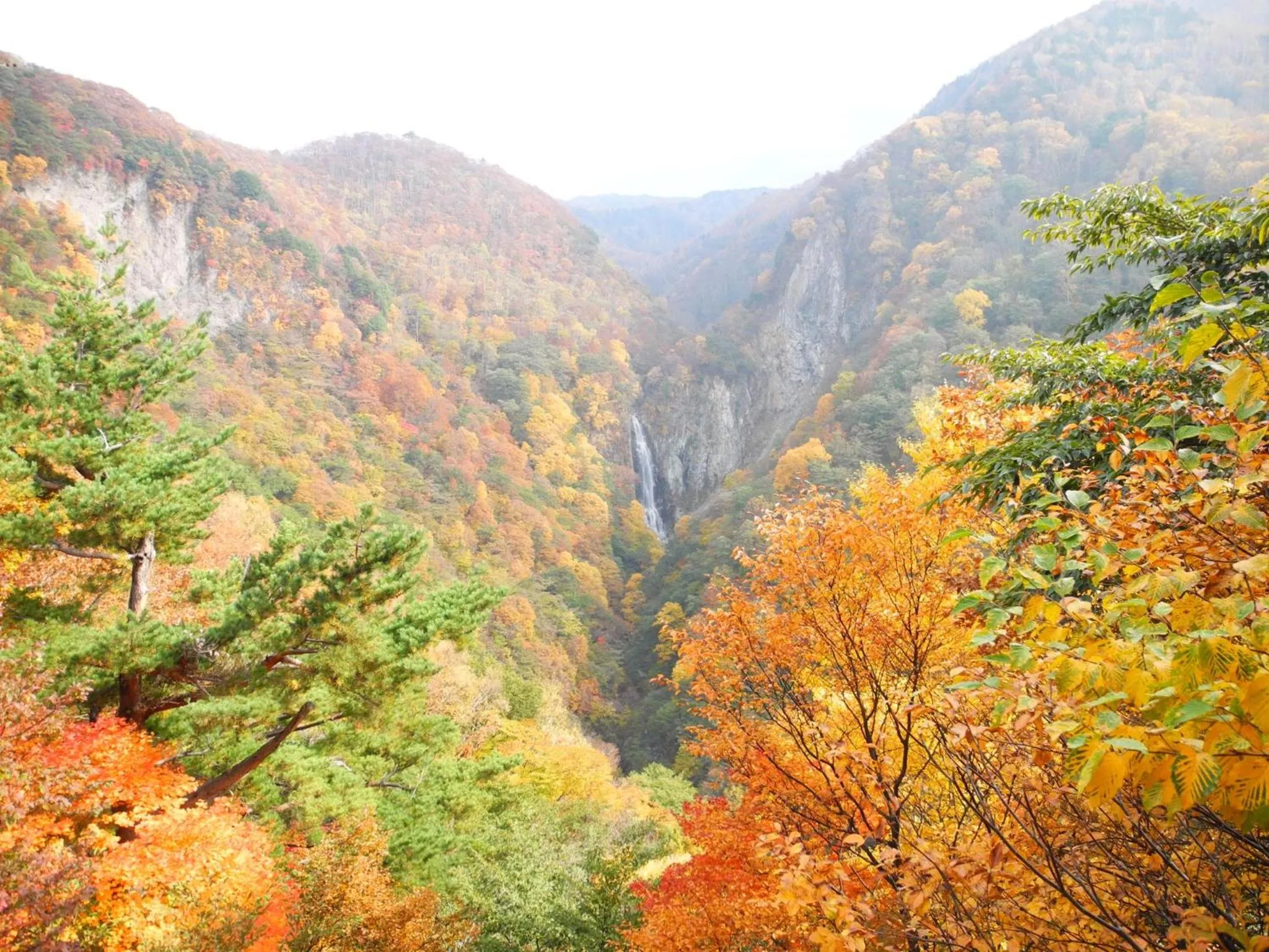 Autumn in Yudanaka Onsen Yamazakiya