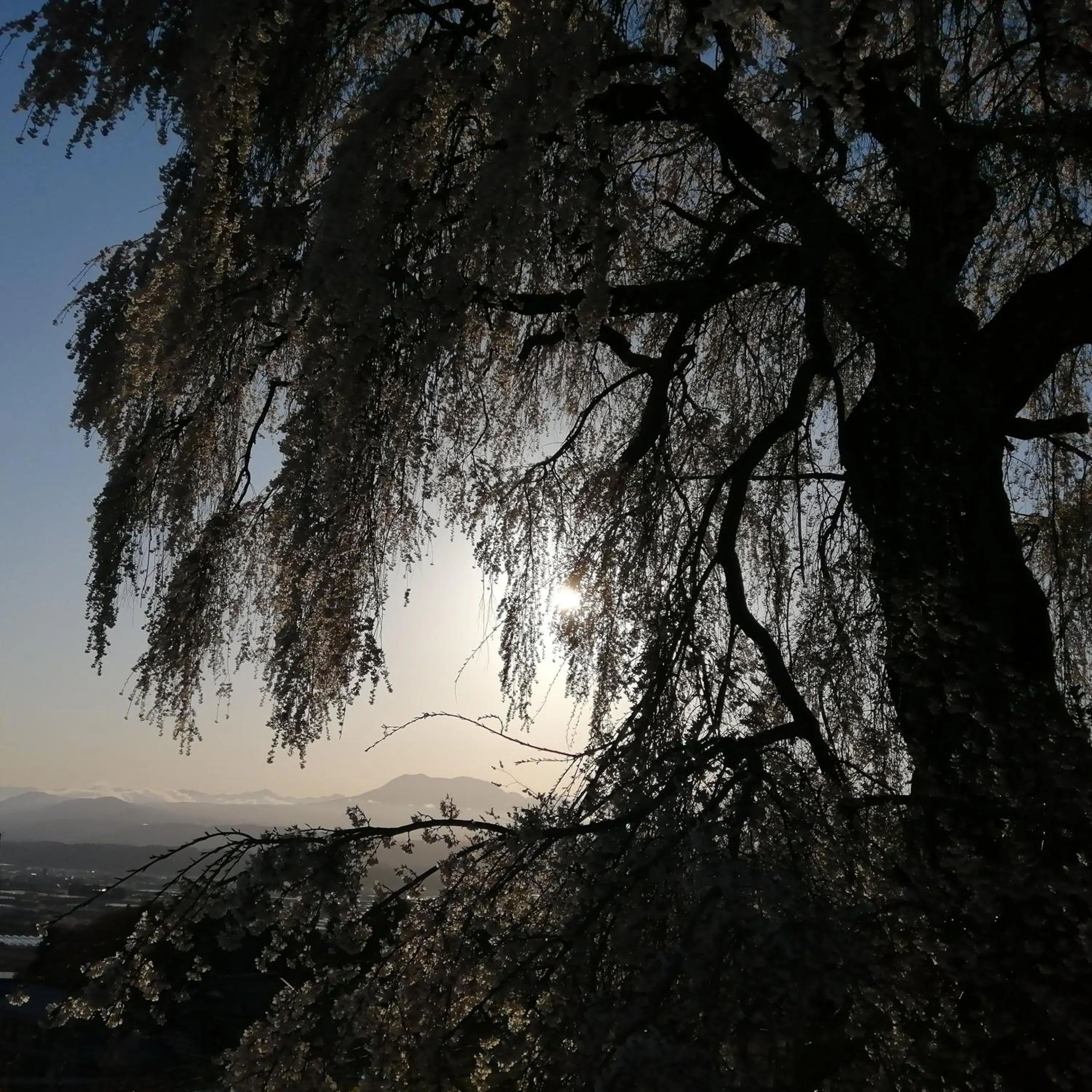Natural landscape in Yudanaka Onsen Yamazakiya