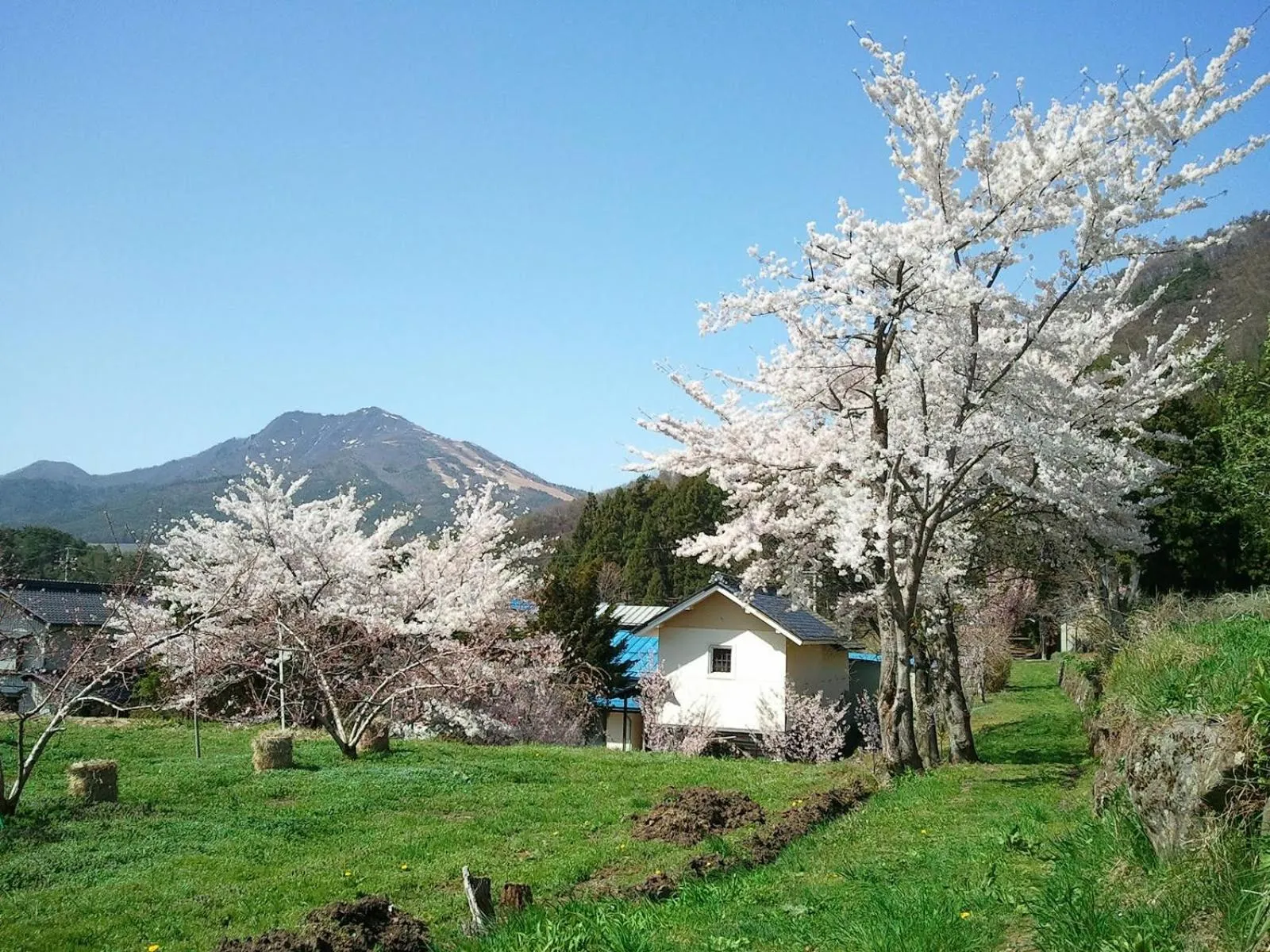 Yudanaka Onsen Yamazakiya