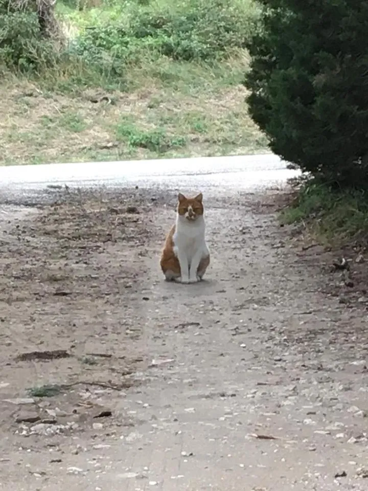 Le Mas du Pigeonnier