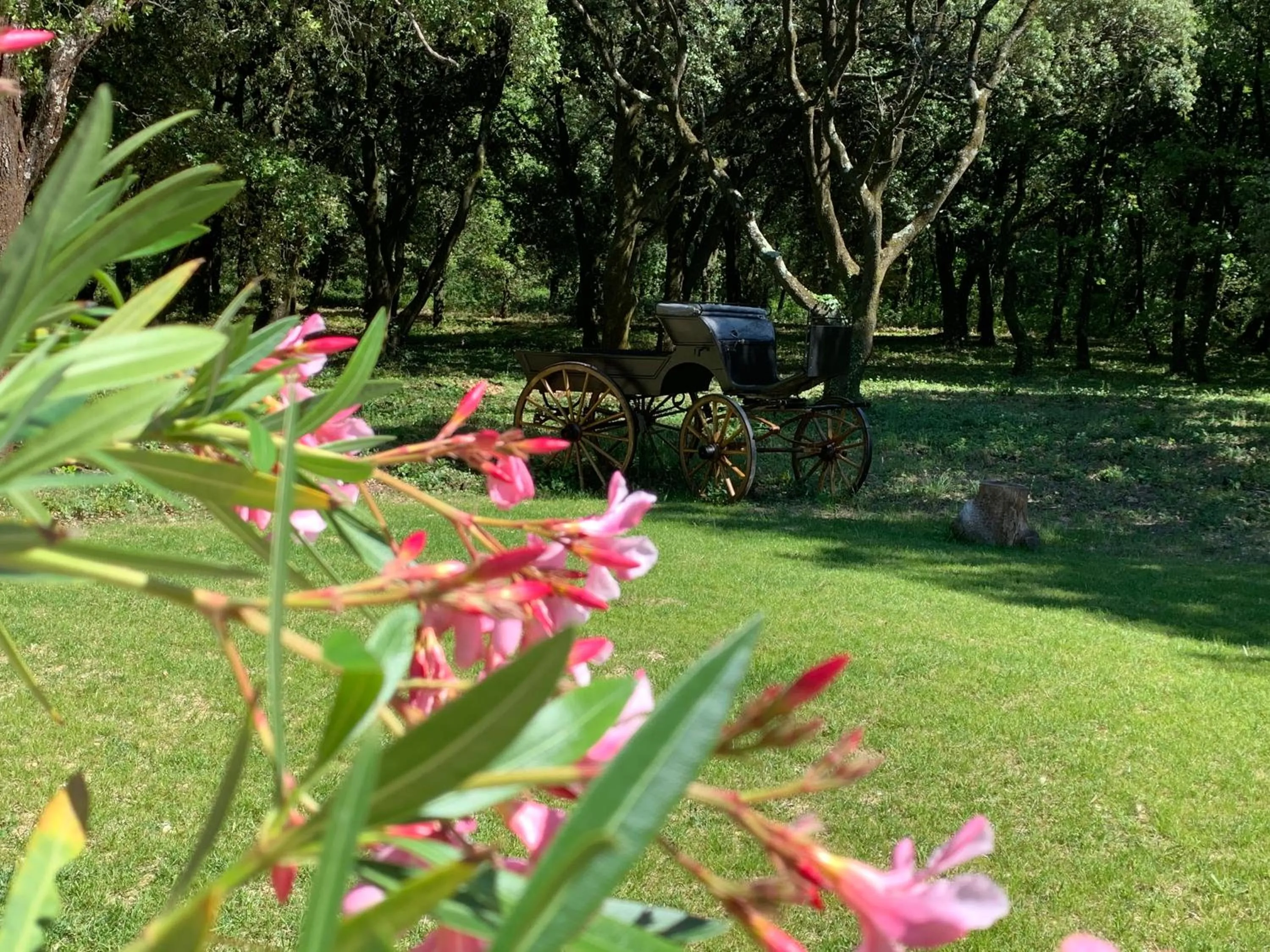 Le Mas du Pigeonnier