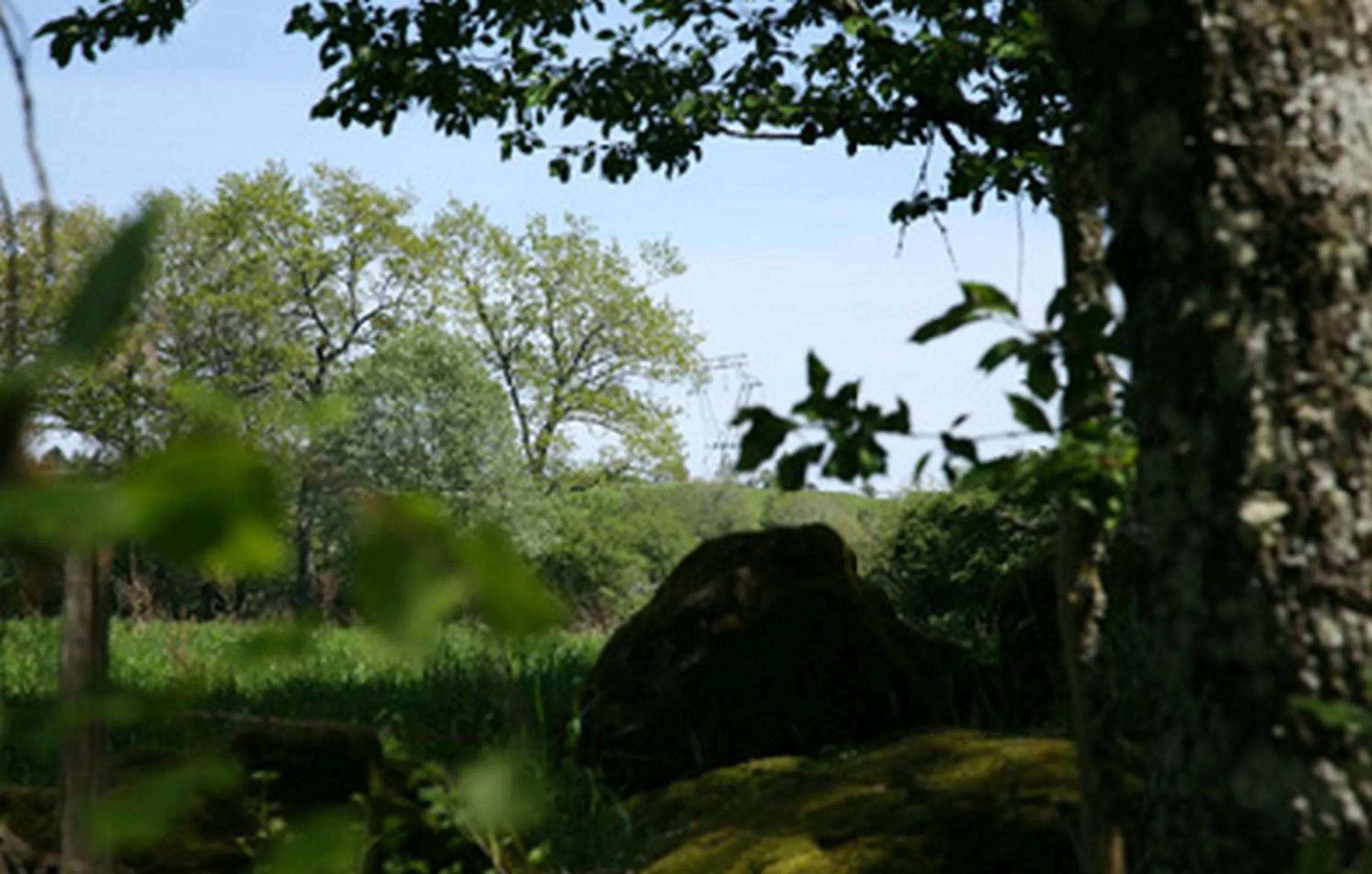 Natural landscape in Le Mas Capel