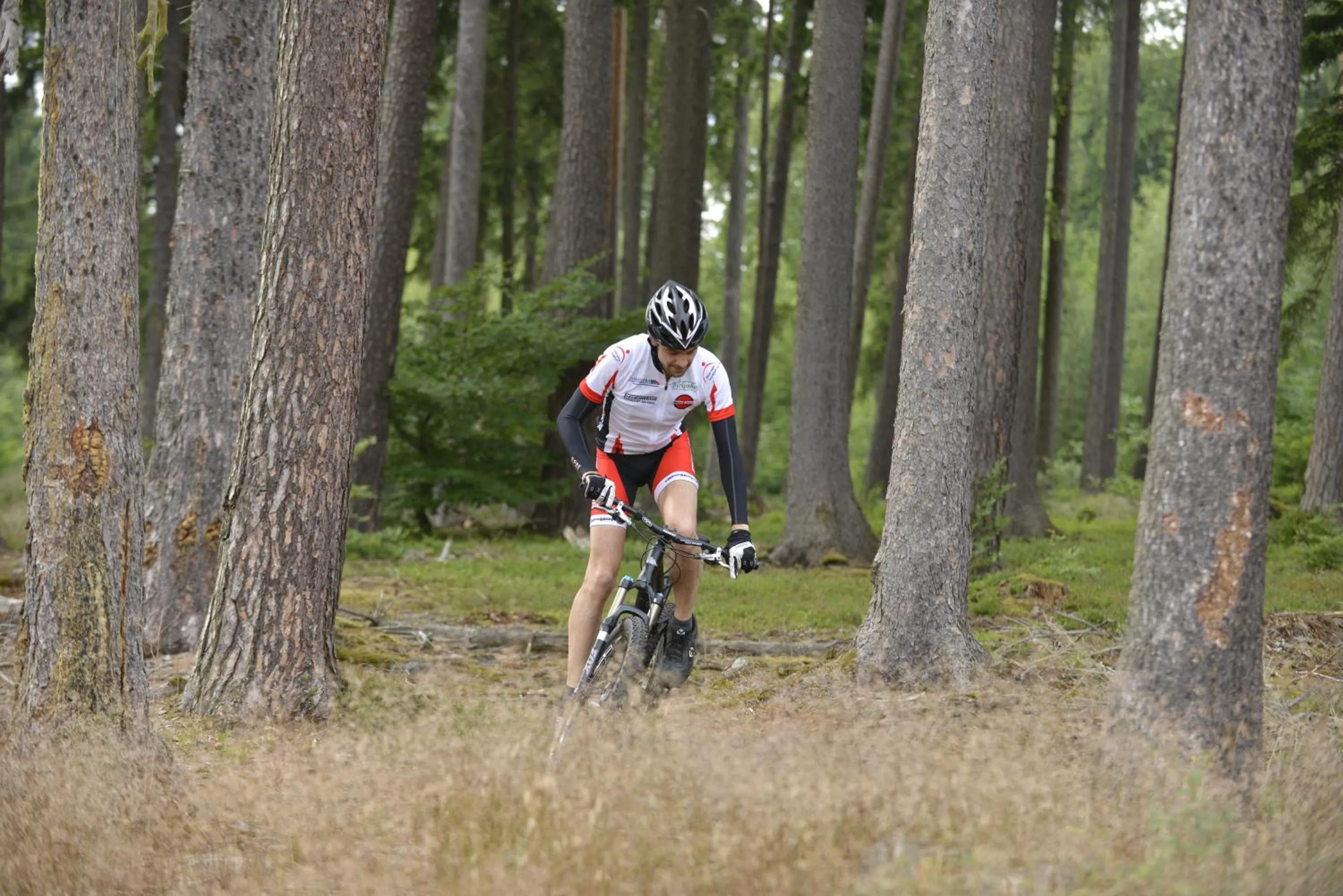 Cycling in Landidyll Hotel Restaurant Birkenhof