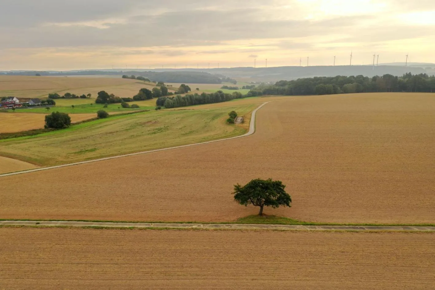 Landidyll Hotel Restaurant Birkenhof
