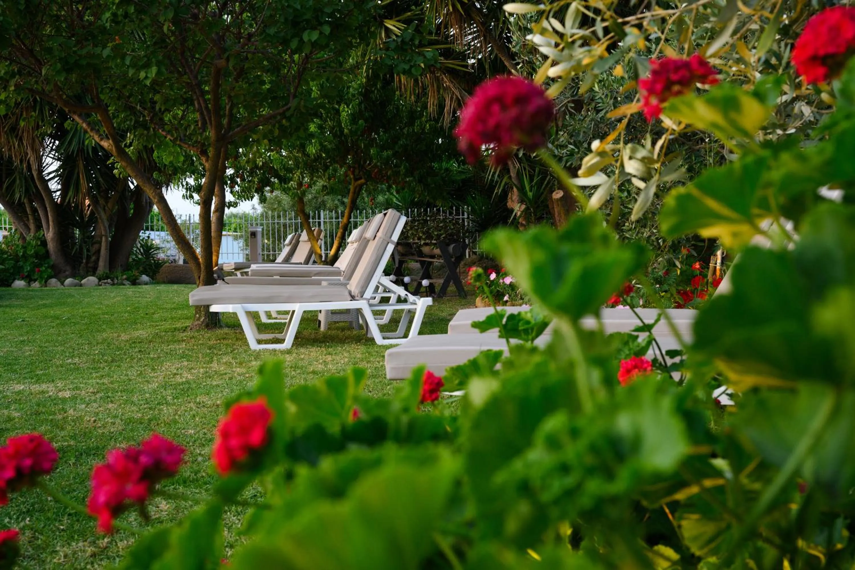 Garden in Erofili Hotel