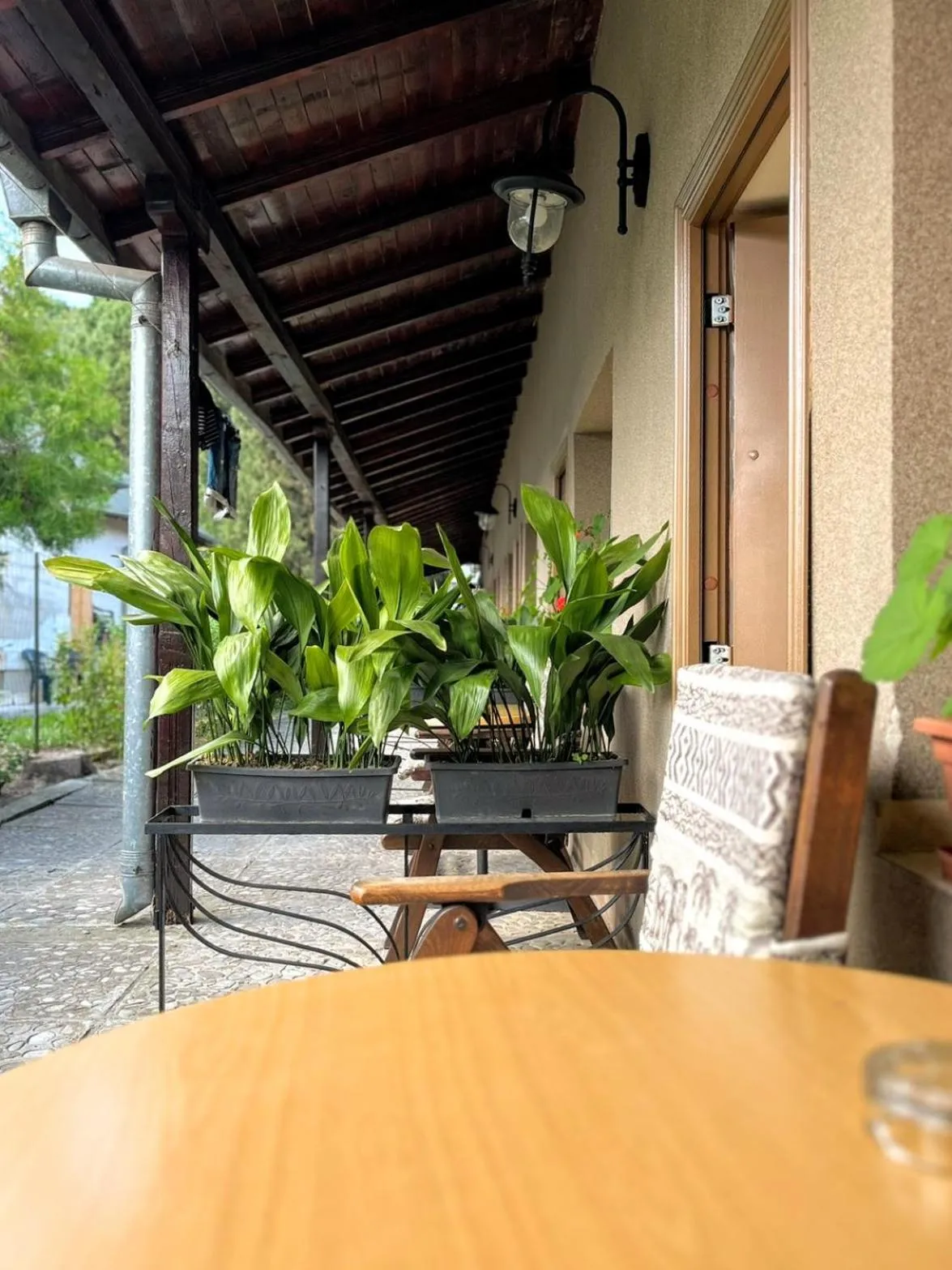 Patio in Lotus Family Hotel - Free Parking