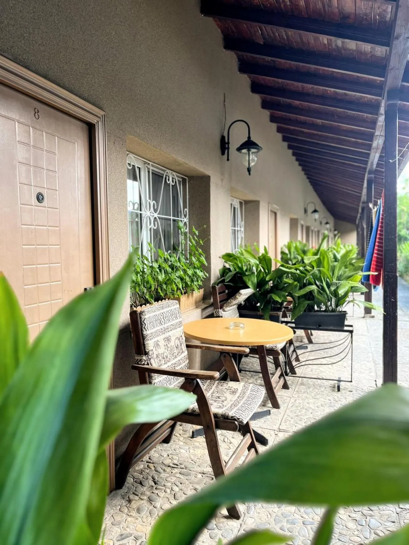 View (from property/room) in Lotus Family Hotel - Free Parking