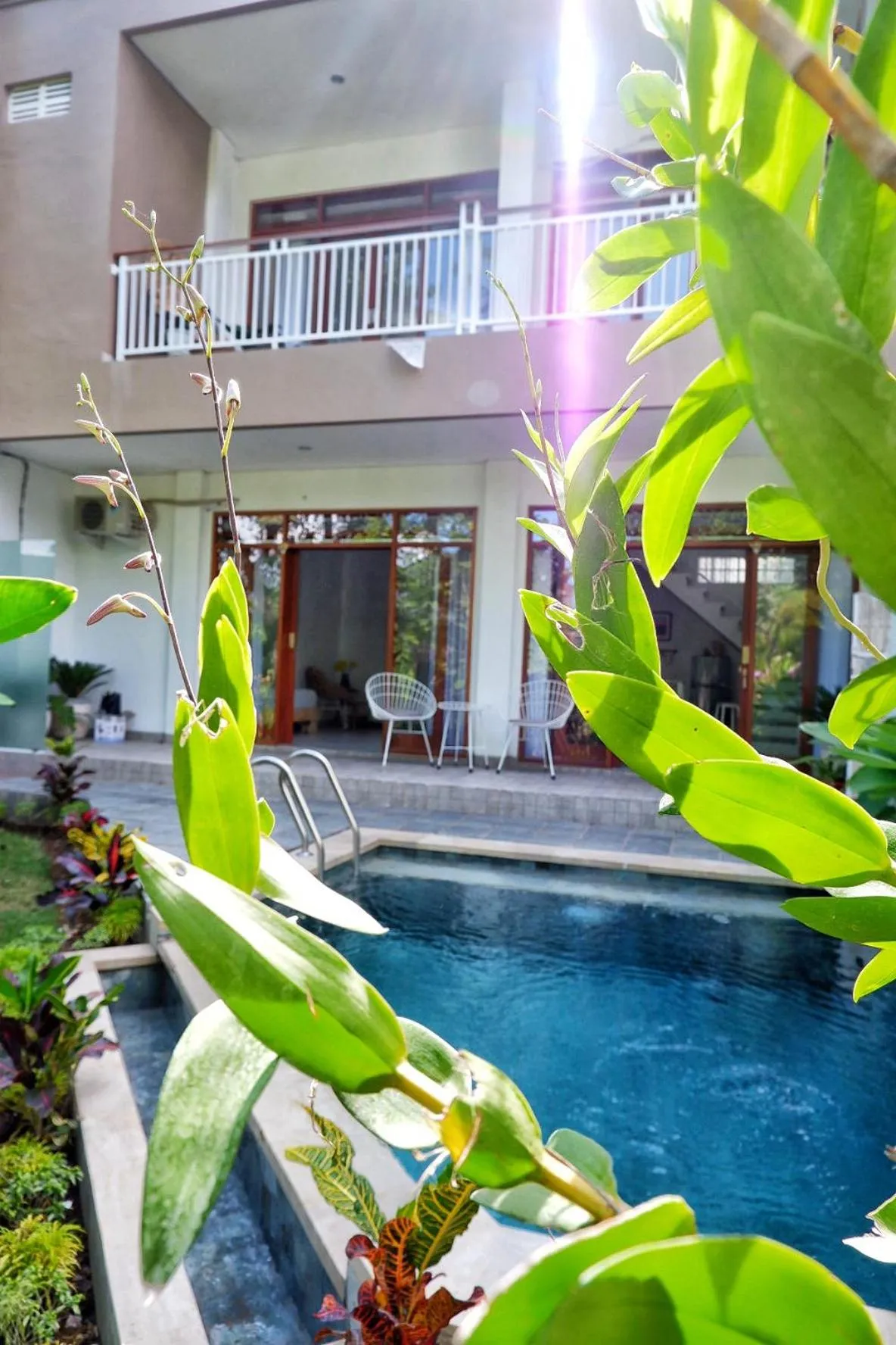 Swimming pool in The Sloth Bali