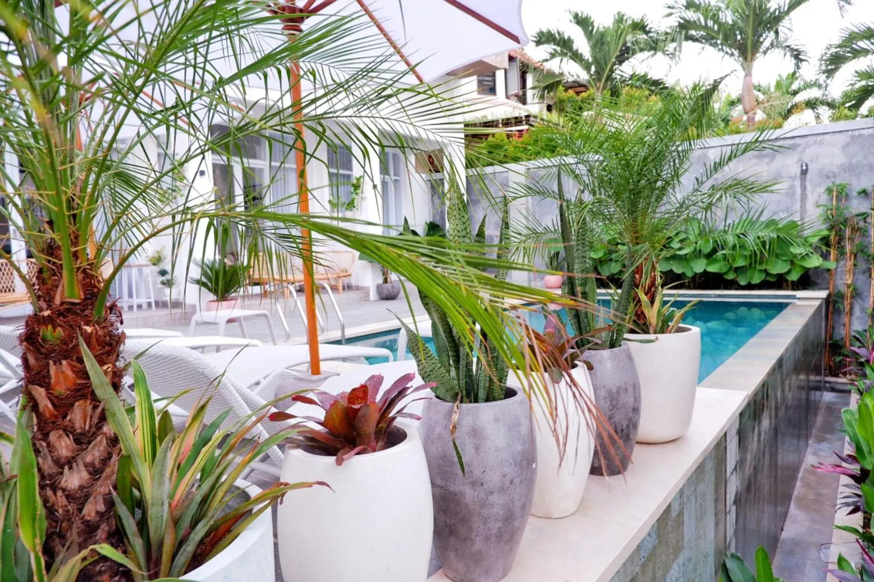 Pool view in The Sloth Bali