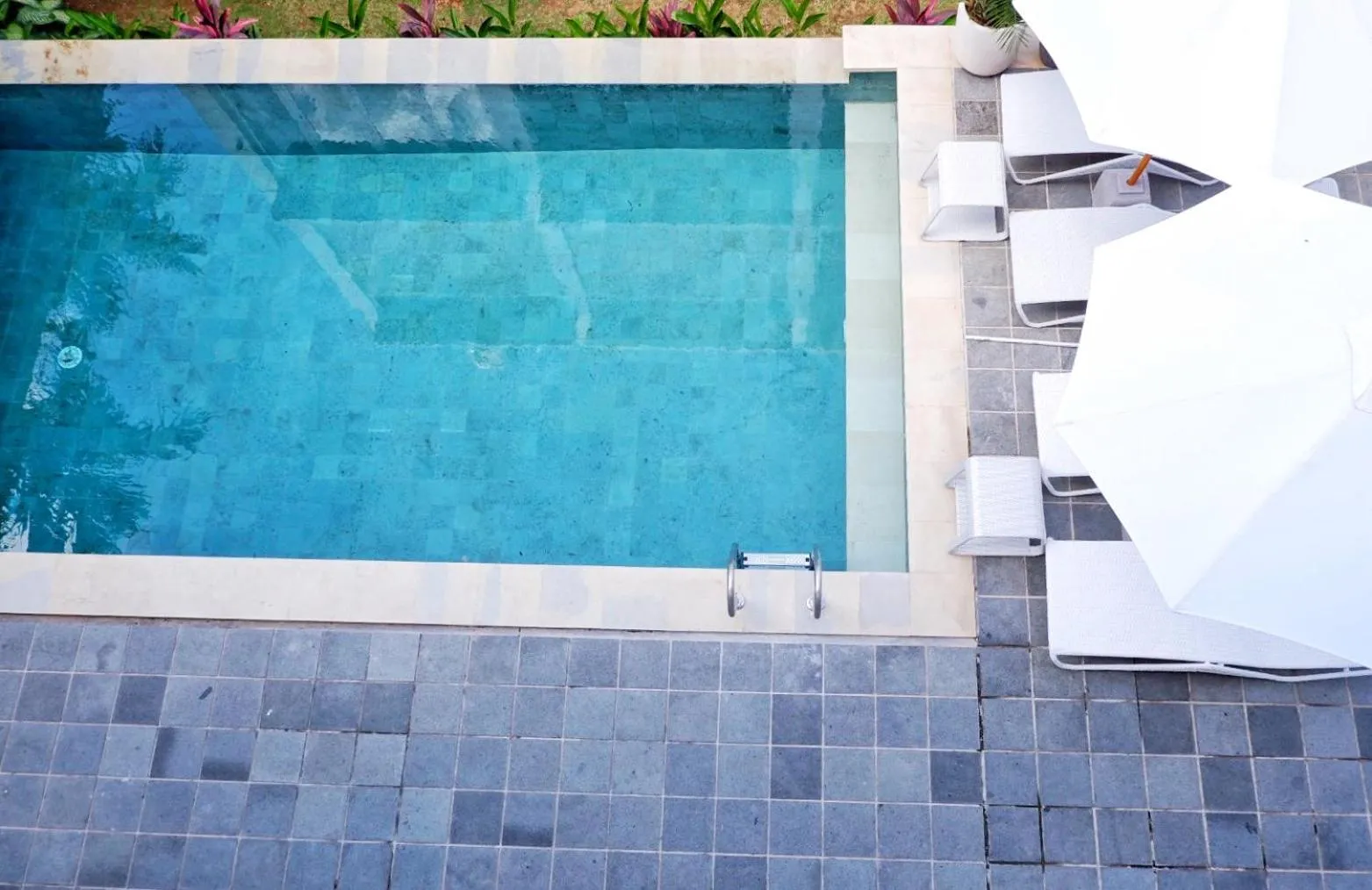 Pool view in The Sloth Bali