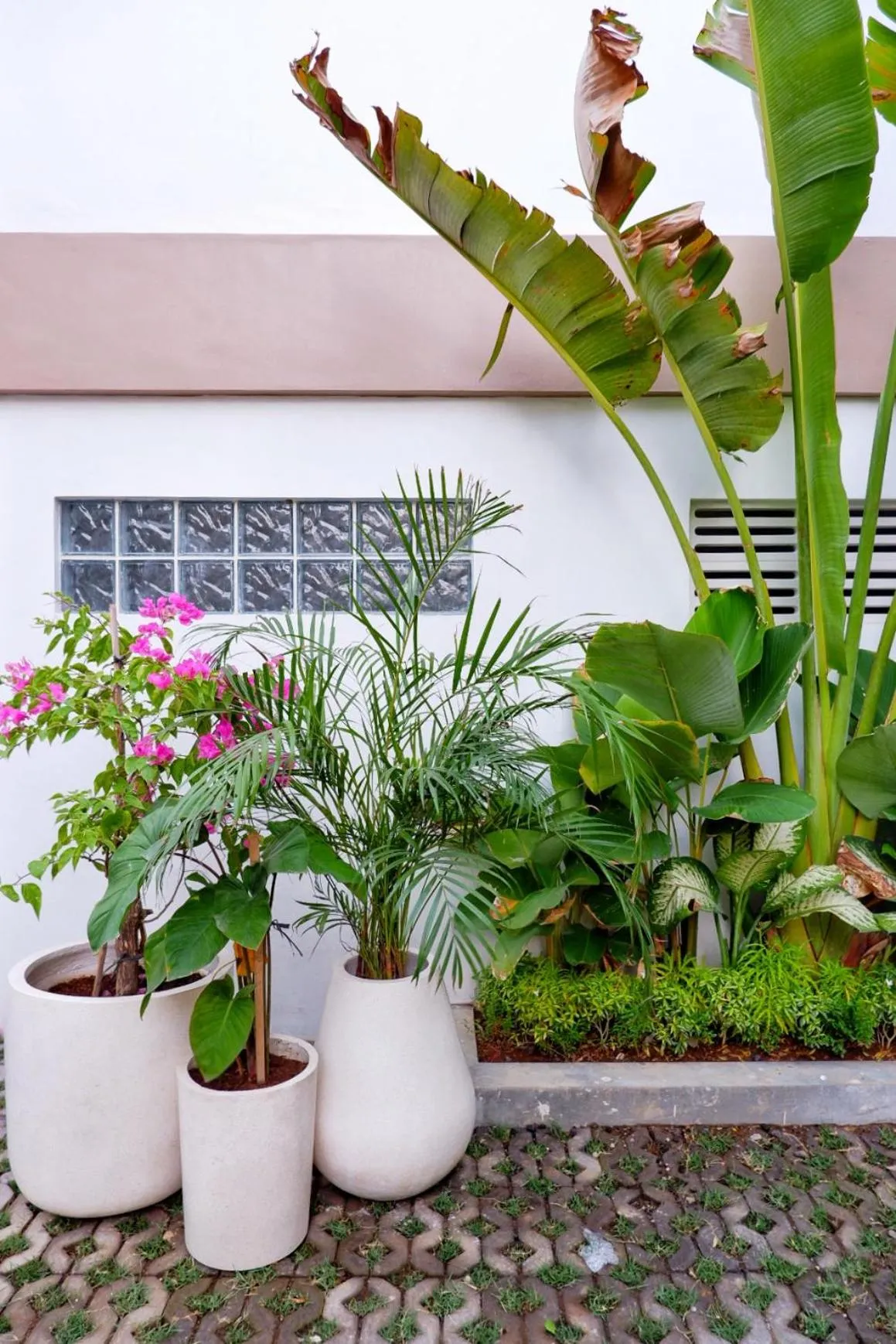 Garden in The Sloth Bali