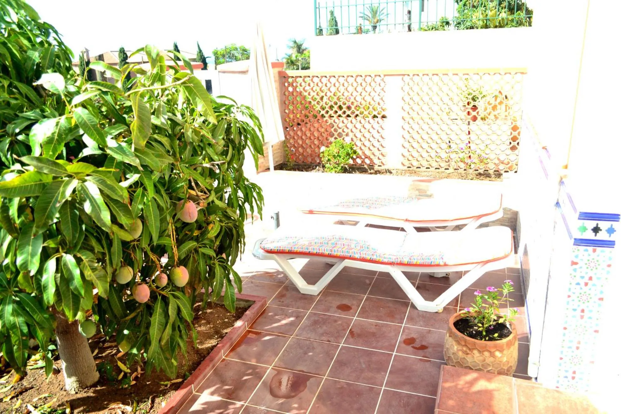 Apartamentos Casa Junonia