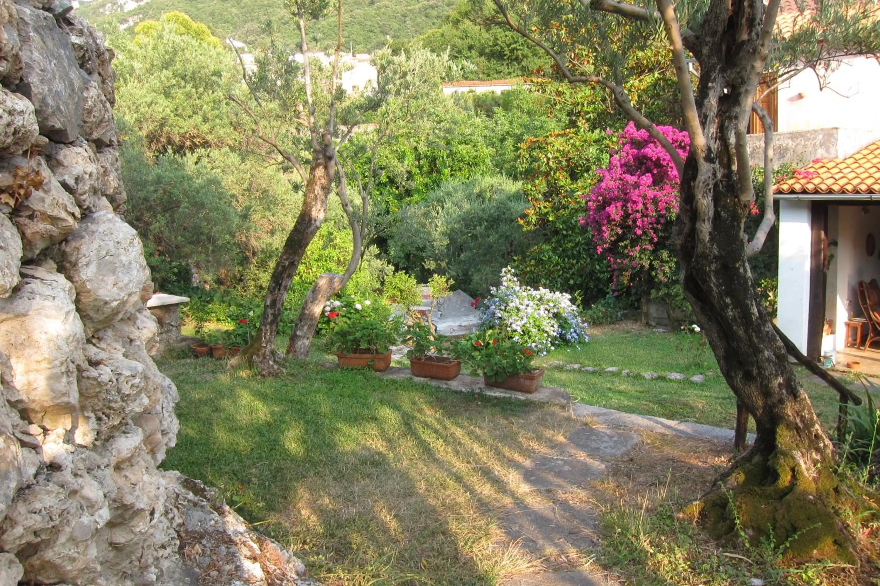 Garden in Casa Puccini B&B Maratea