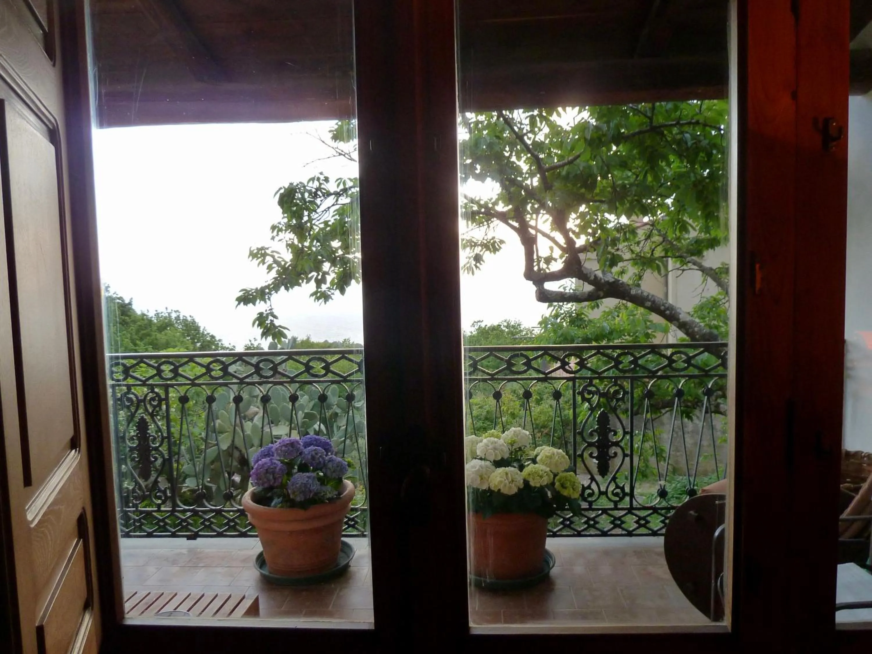 Balcony/Terrace in Casa Puccini B&B Maratea