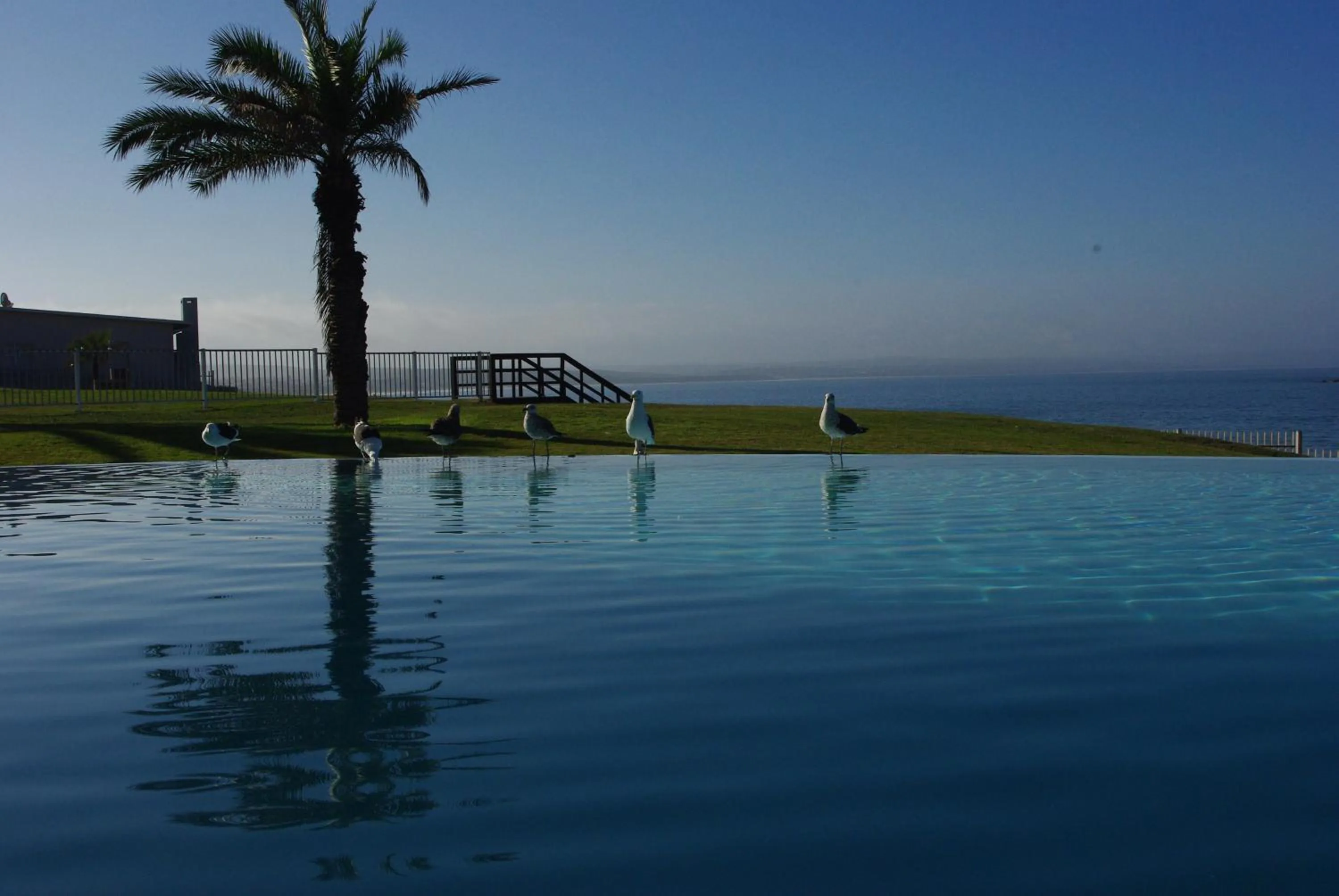 Garden view in Beach Club Self Catering Apartments