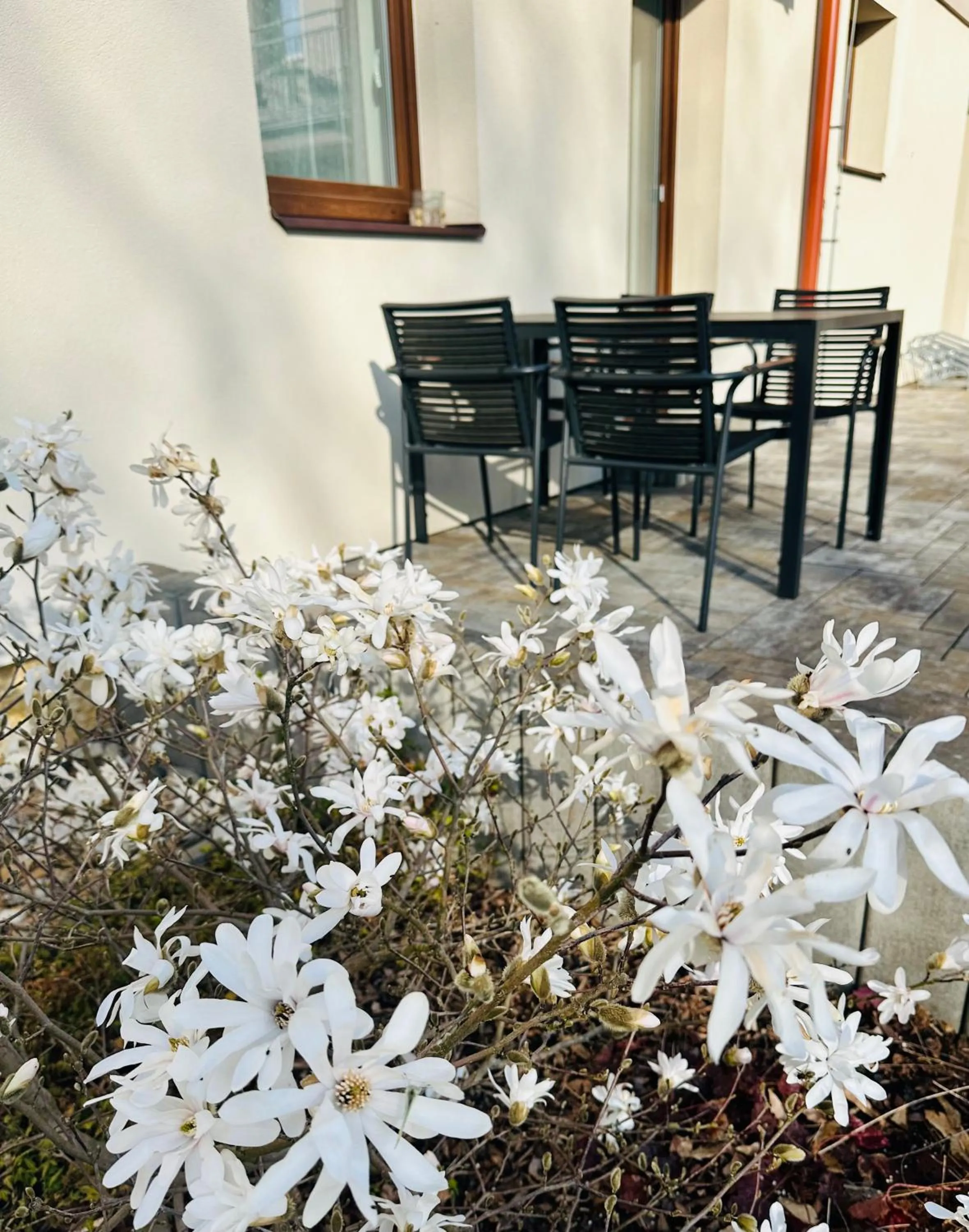 Penzion Holín u Prachovských skal