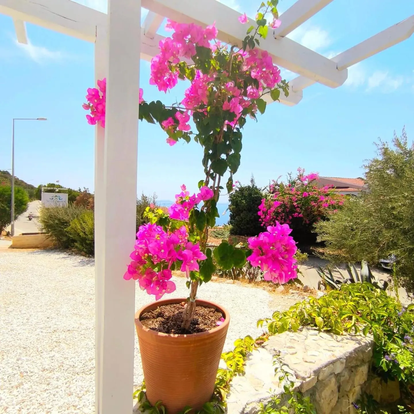 Facade/entrance in Sea Garden Kaş Hotel