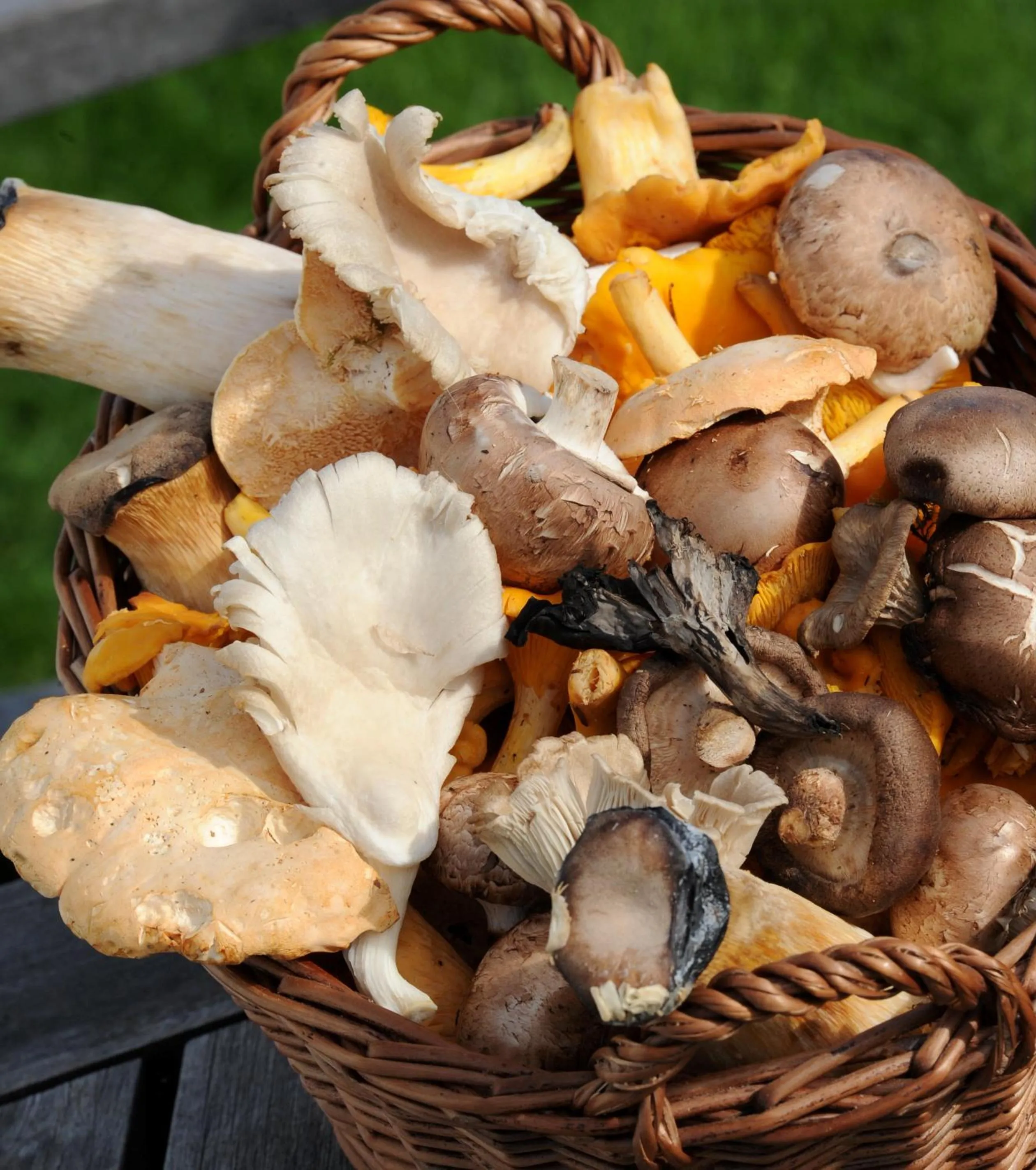 Food close-up in Bunchrew House Hotel