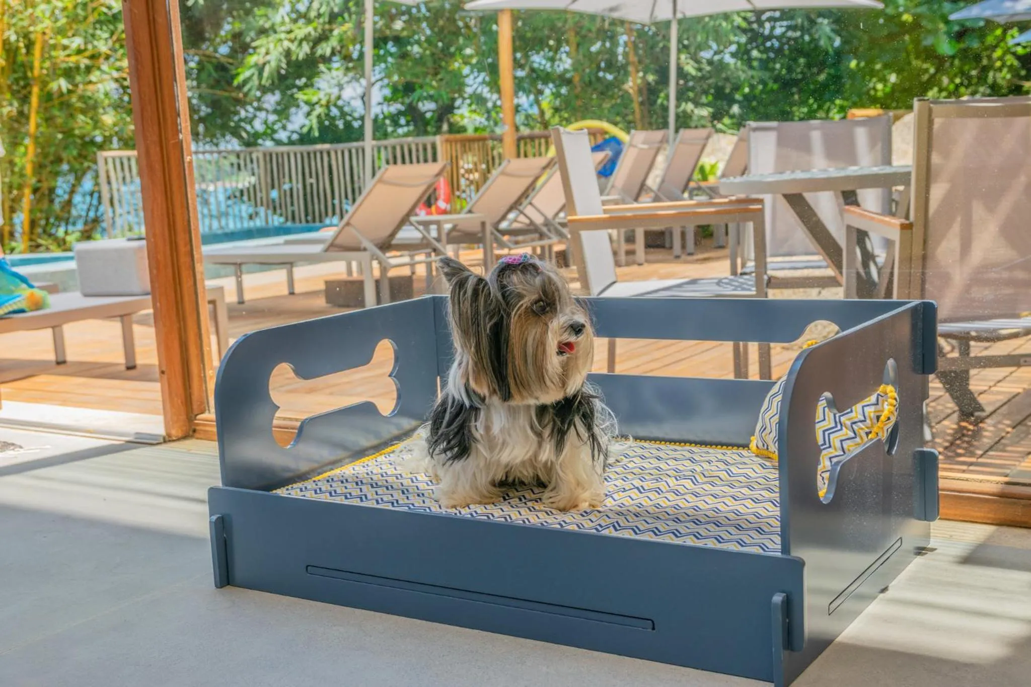 Pets in Casa Di Sirena Ilhabela