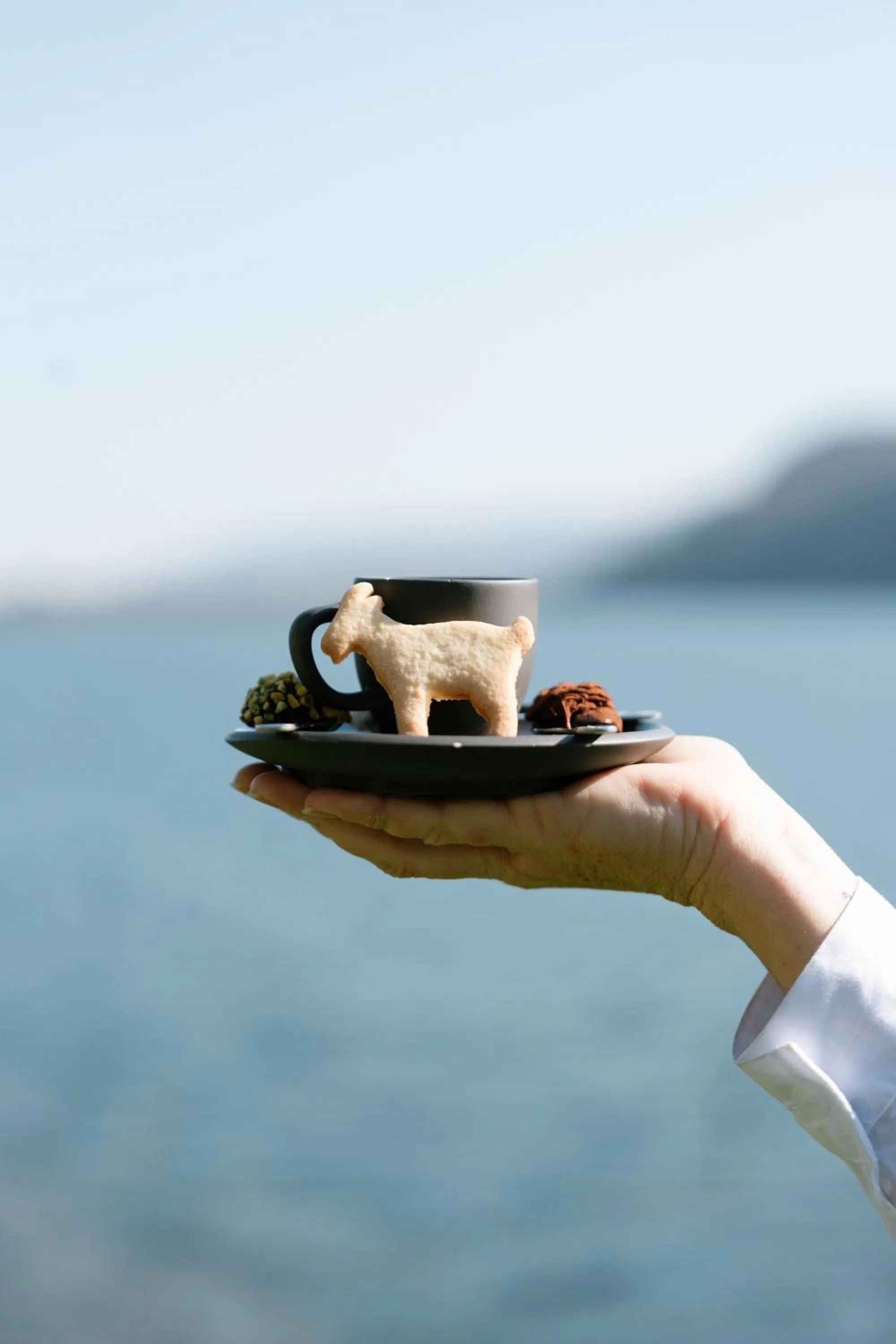 Breakfast in Casa della Capra