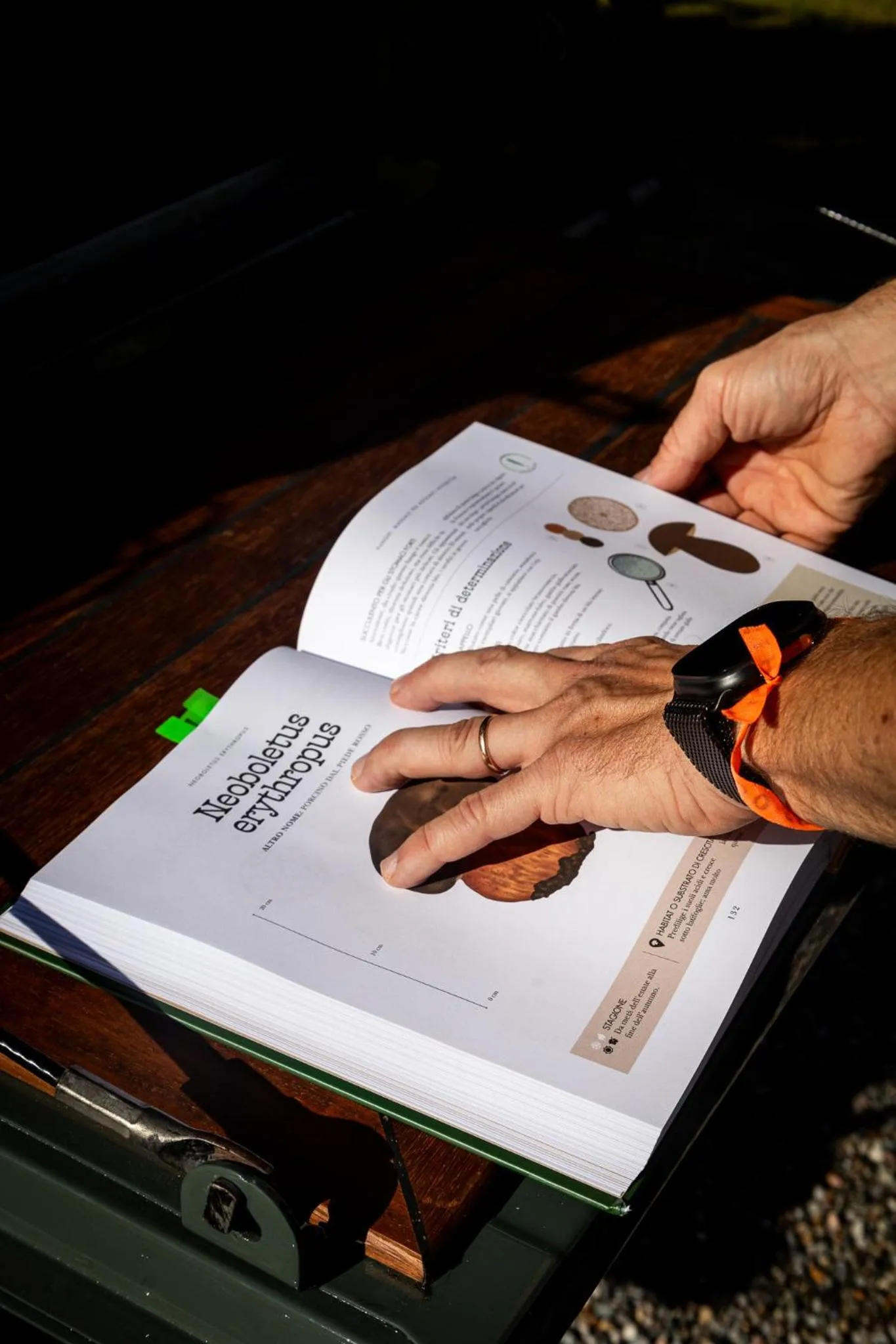 kitchen in Casa della Capra