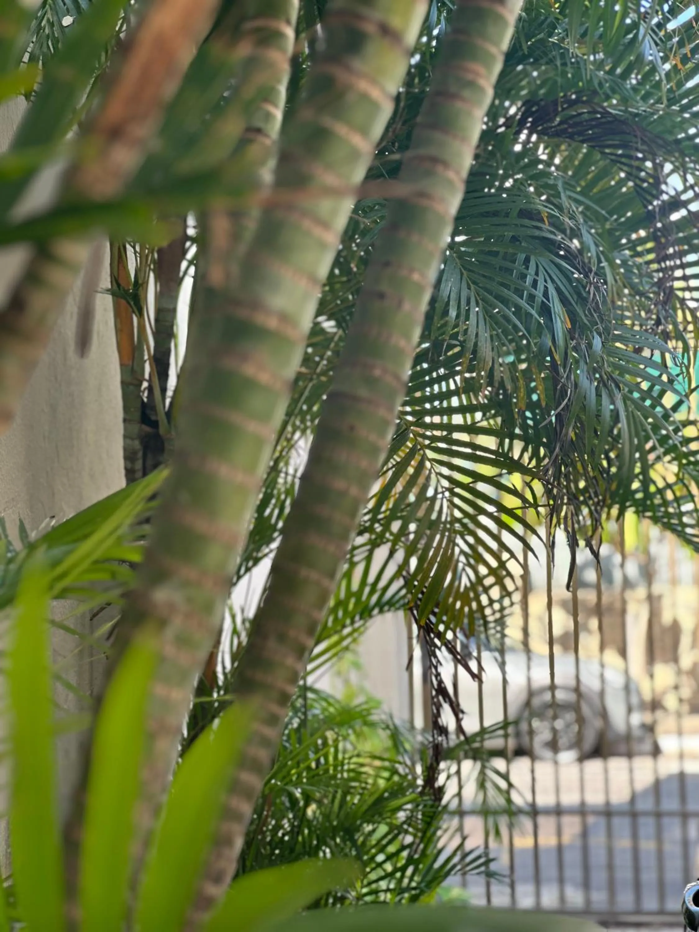 Hotel Pousada Villa Marina