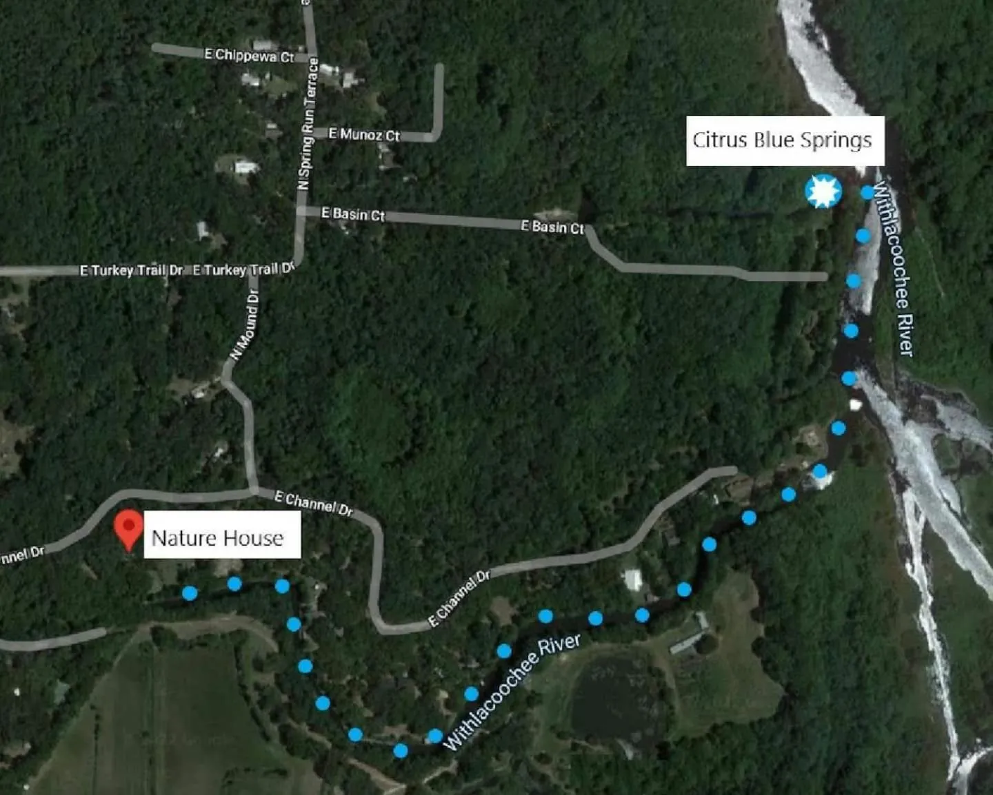 The Nature House a Secluded Waterfront Cabin