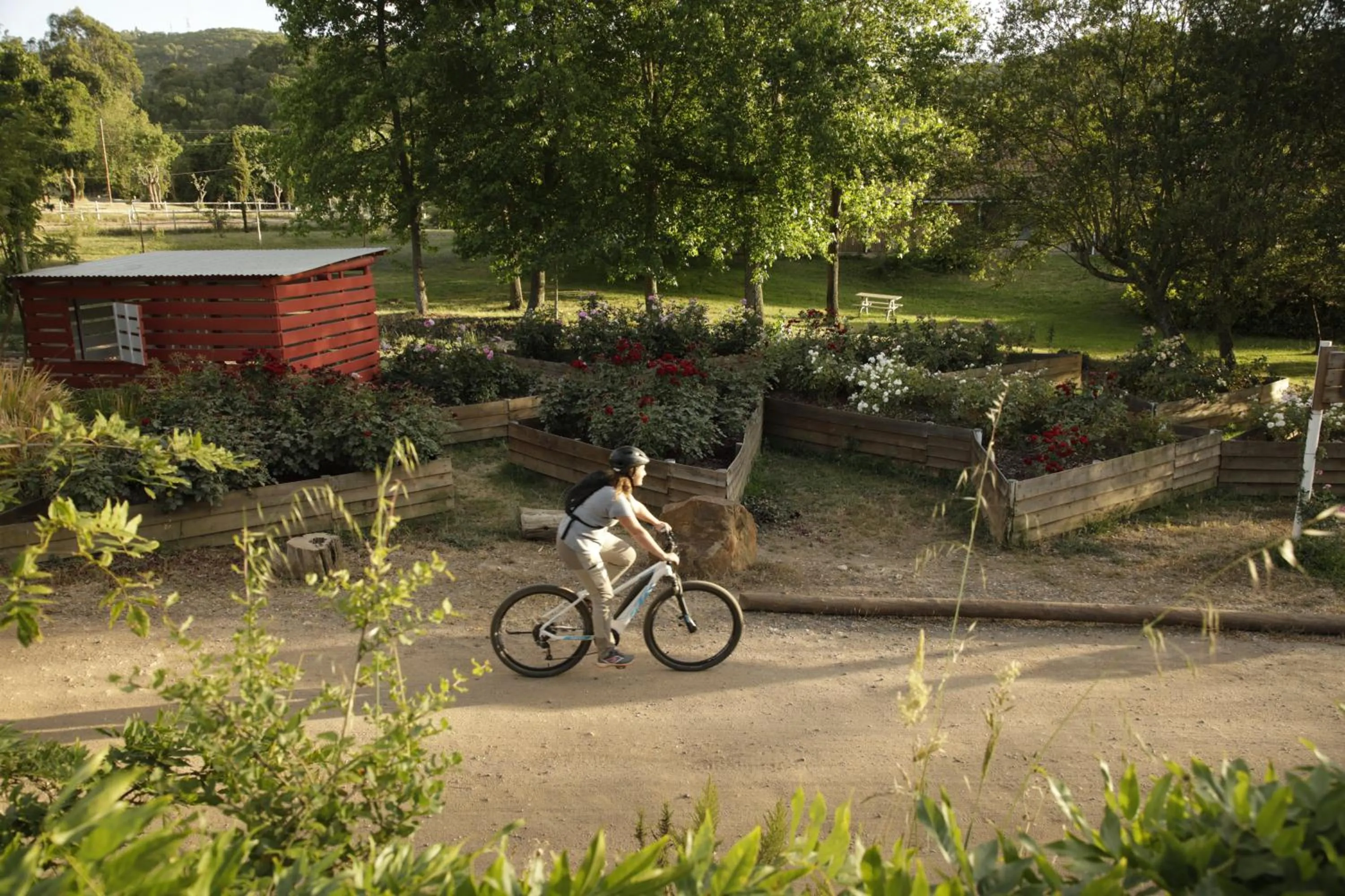 Activities in Herdade da Matinha Country House & Restaurant