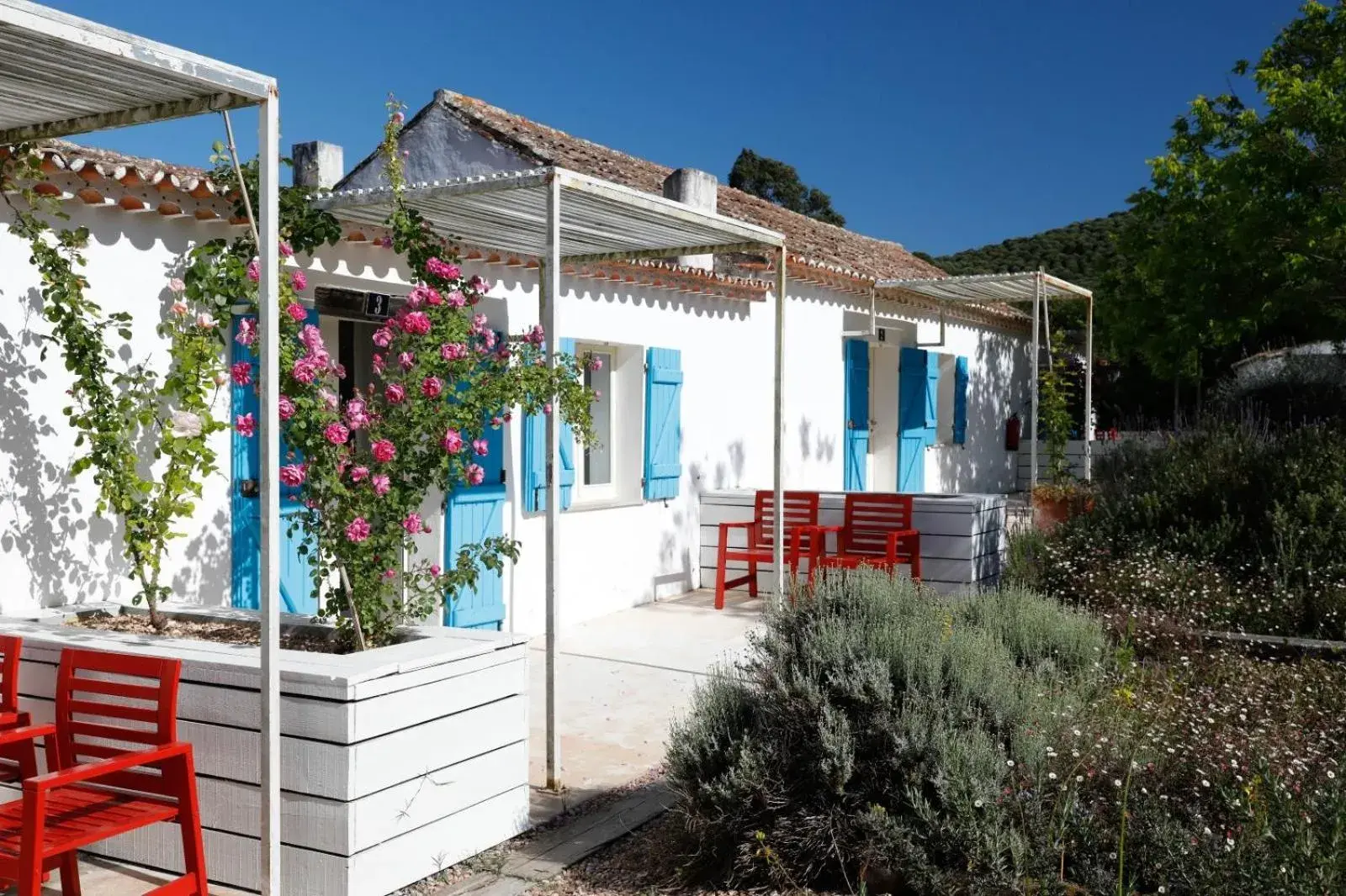 Double Room in Herdade da Matinha Country House & Restaurant Double Room in Herdade da Matinha Country House & Restaurant