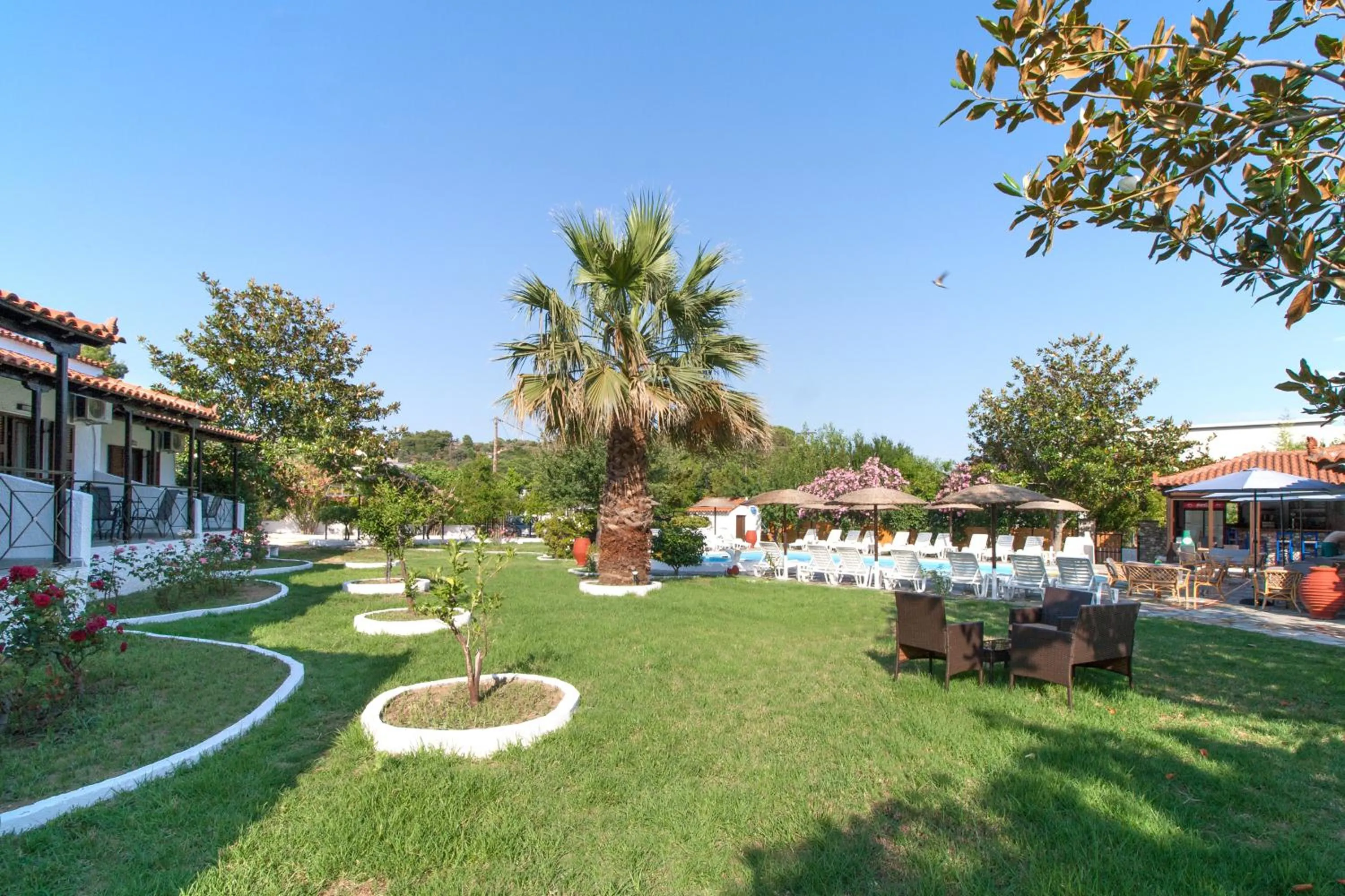Garden in STRAWBERRY Skiathos