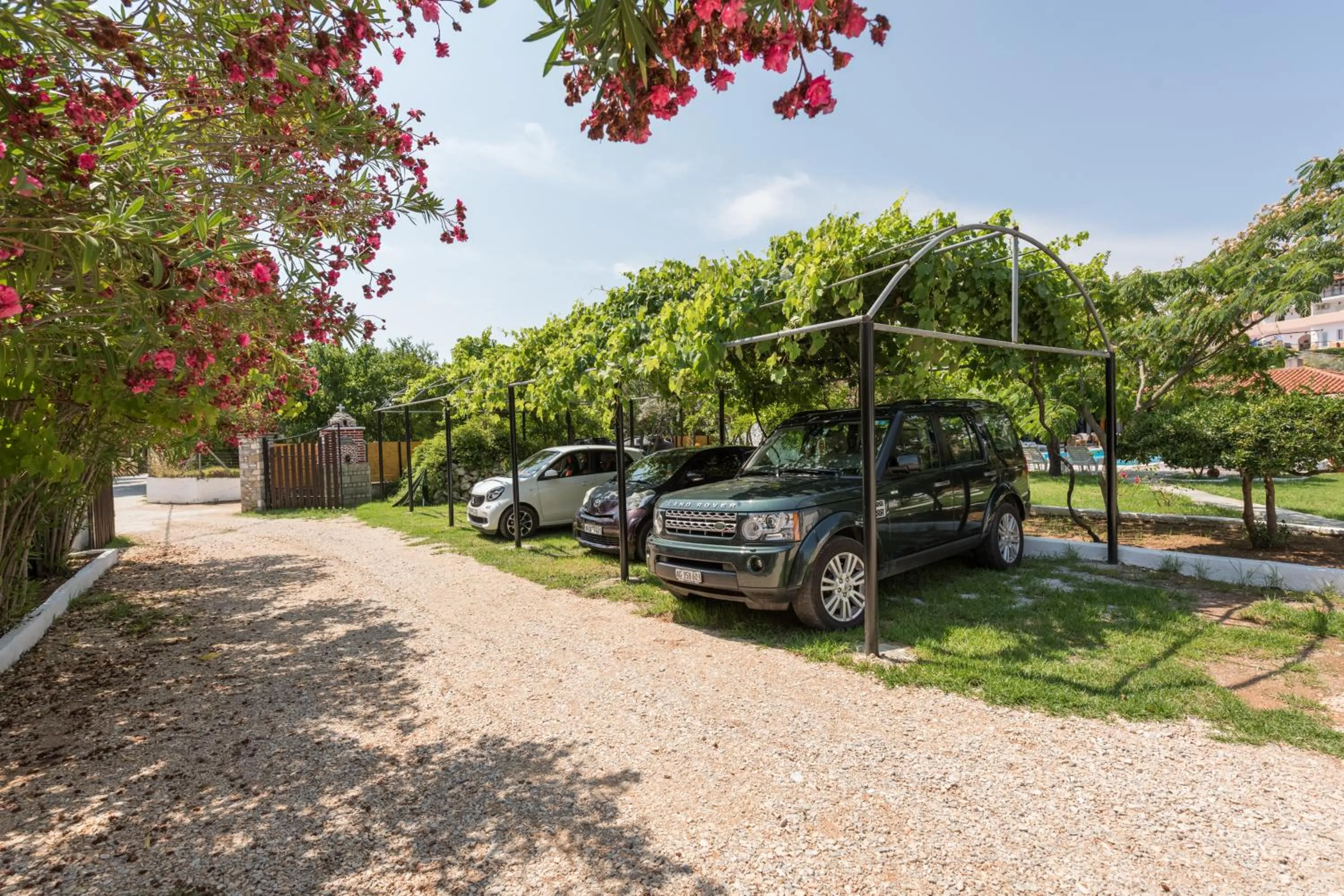 Other in STRAWBERRY Skiathos