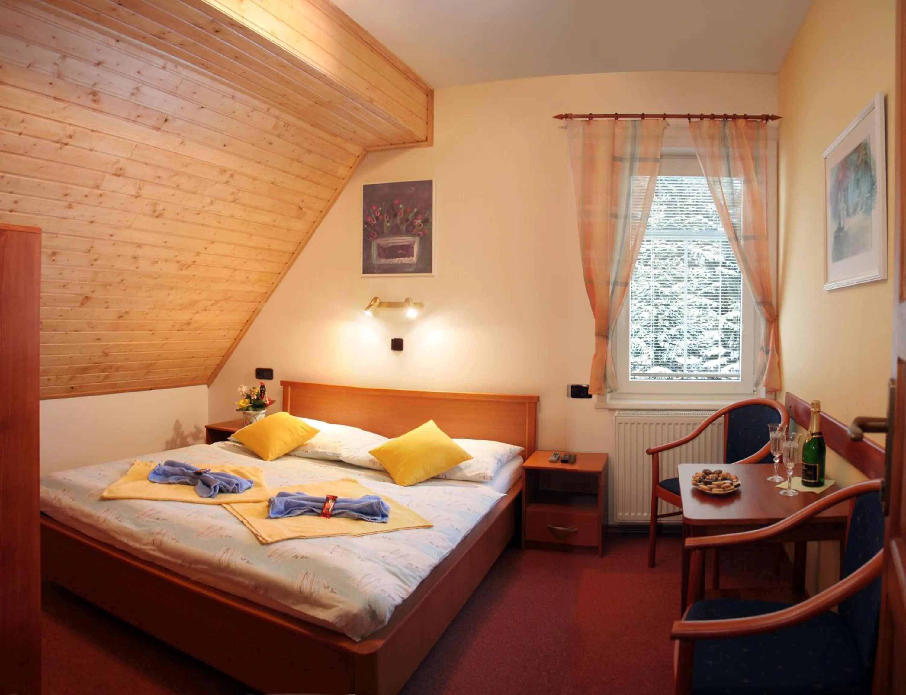 Double or Twin Room in Pension Harrachov