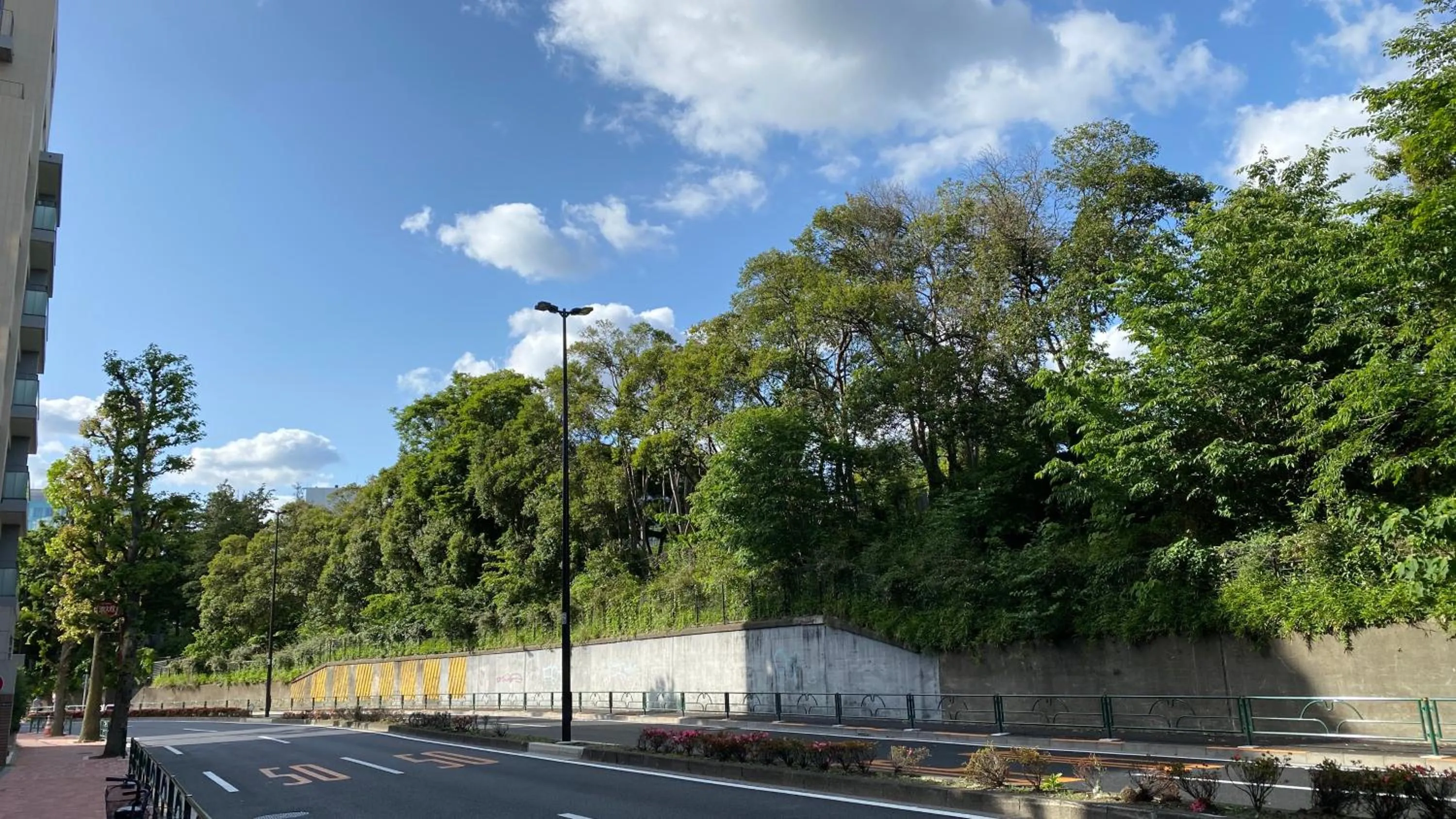 Spring in Hotel Adonis Tokyo - Dormitory Share Room For Male Only At City Center