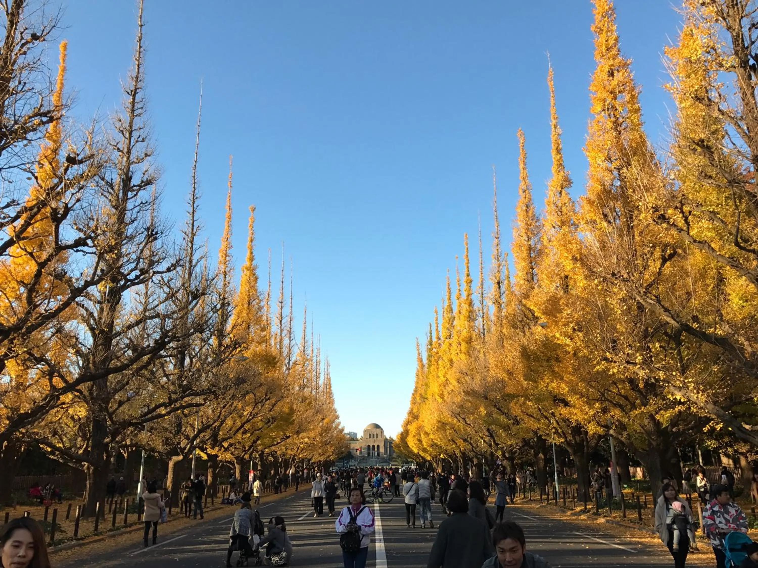 Other in Hotel Adonis Tokyo - Dormitory Share Room For Male Only At City Center