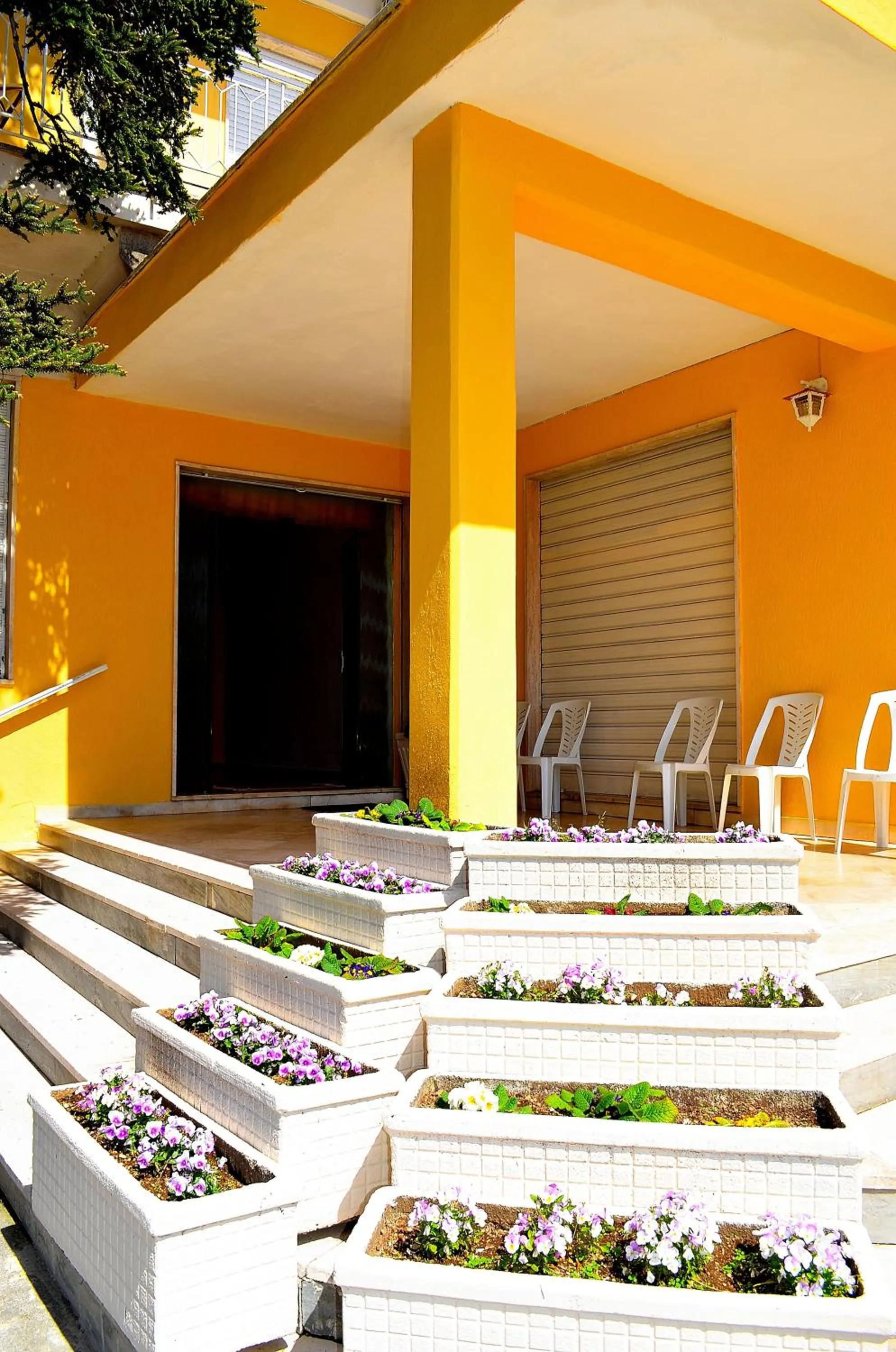 Patio in New Royal