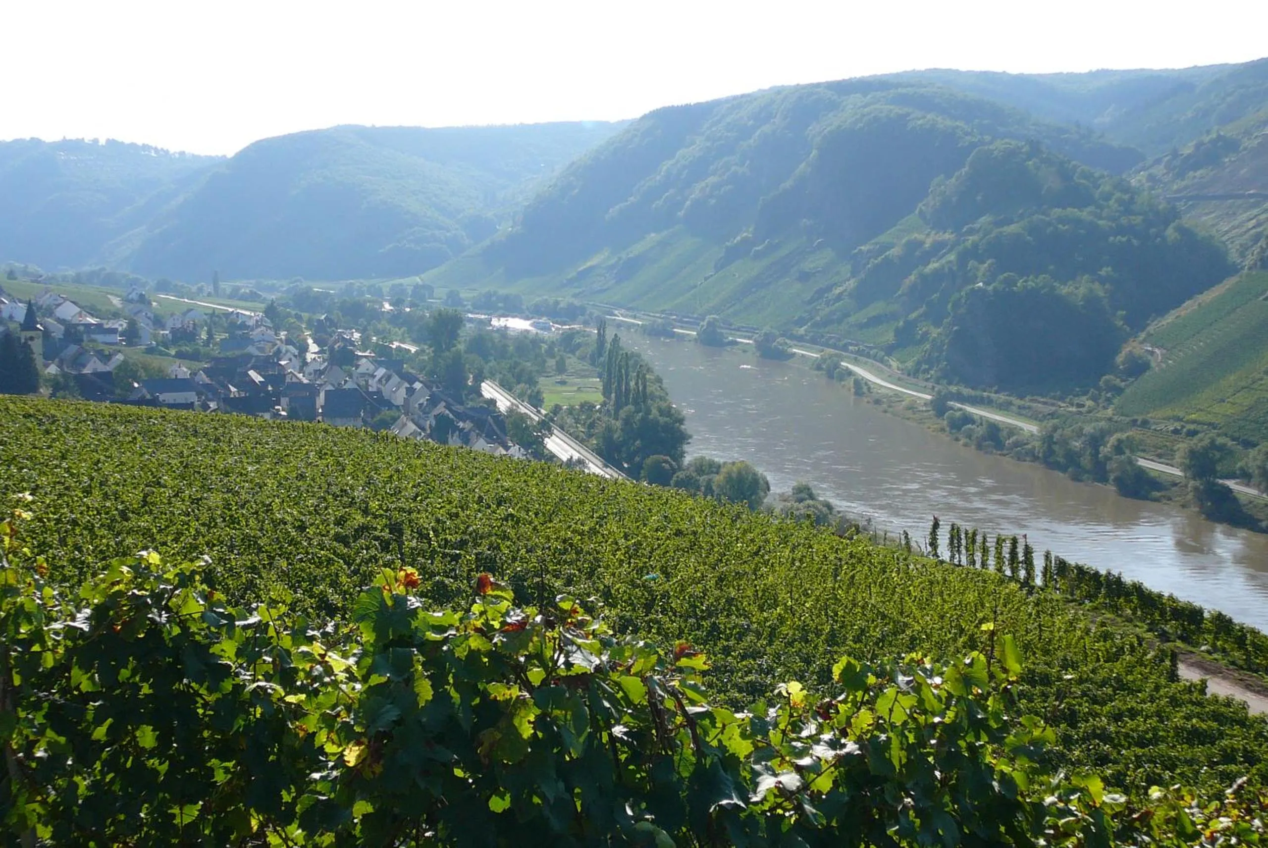 Natural landscape in Ferienweingut Hirschen Schulstraße