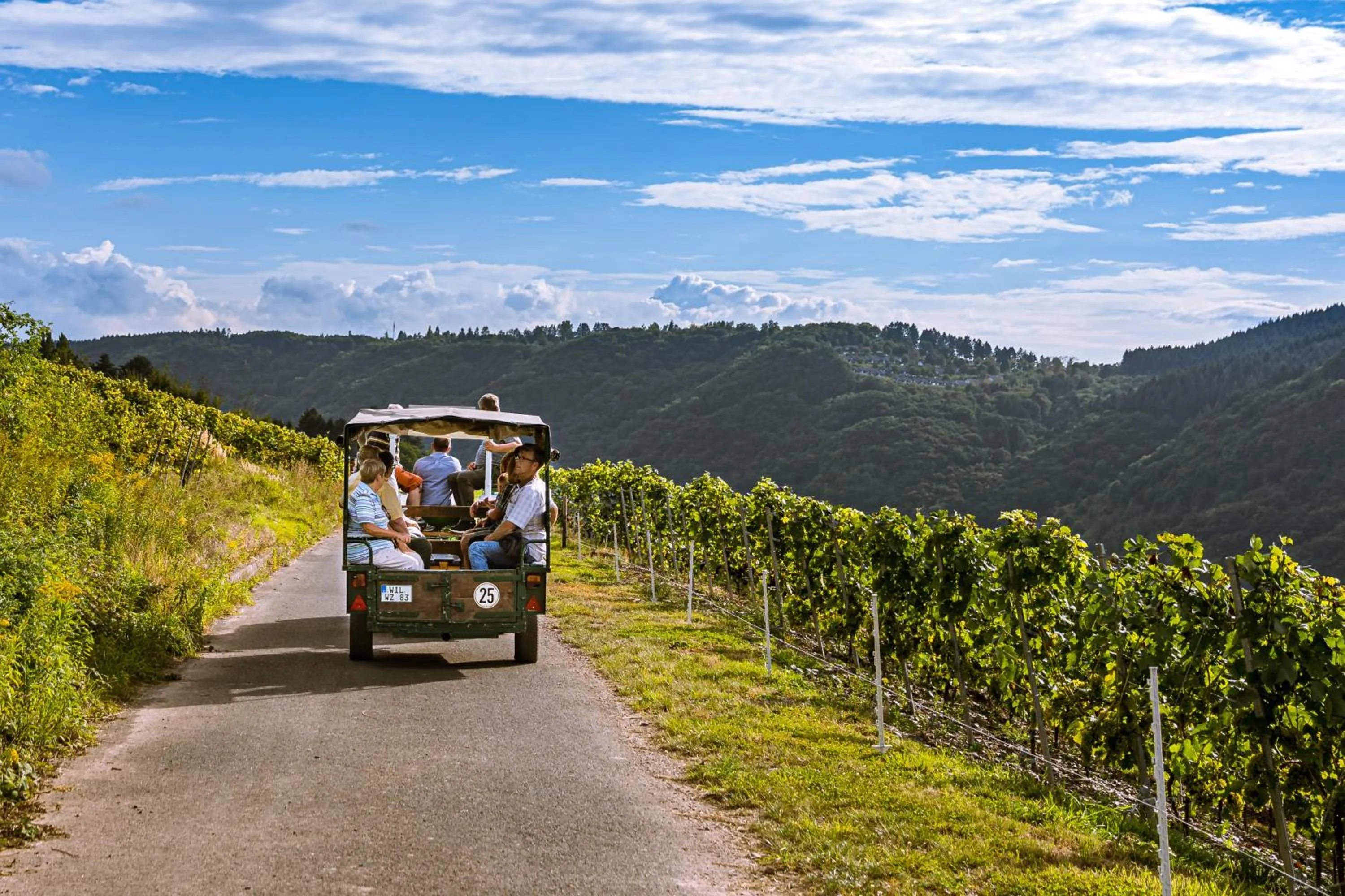 Natural landscape in Ferienweingut Hirschen Schulstraße
