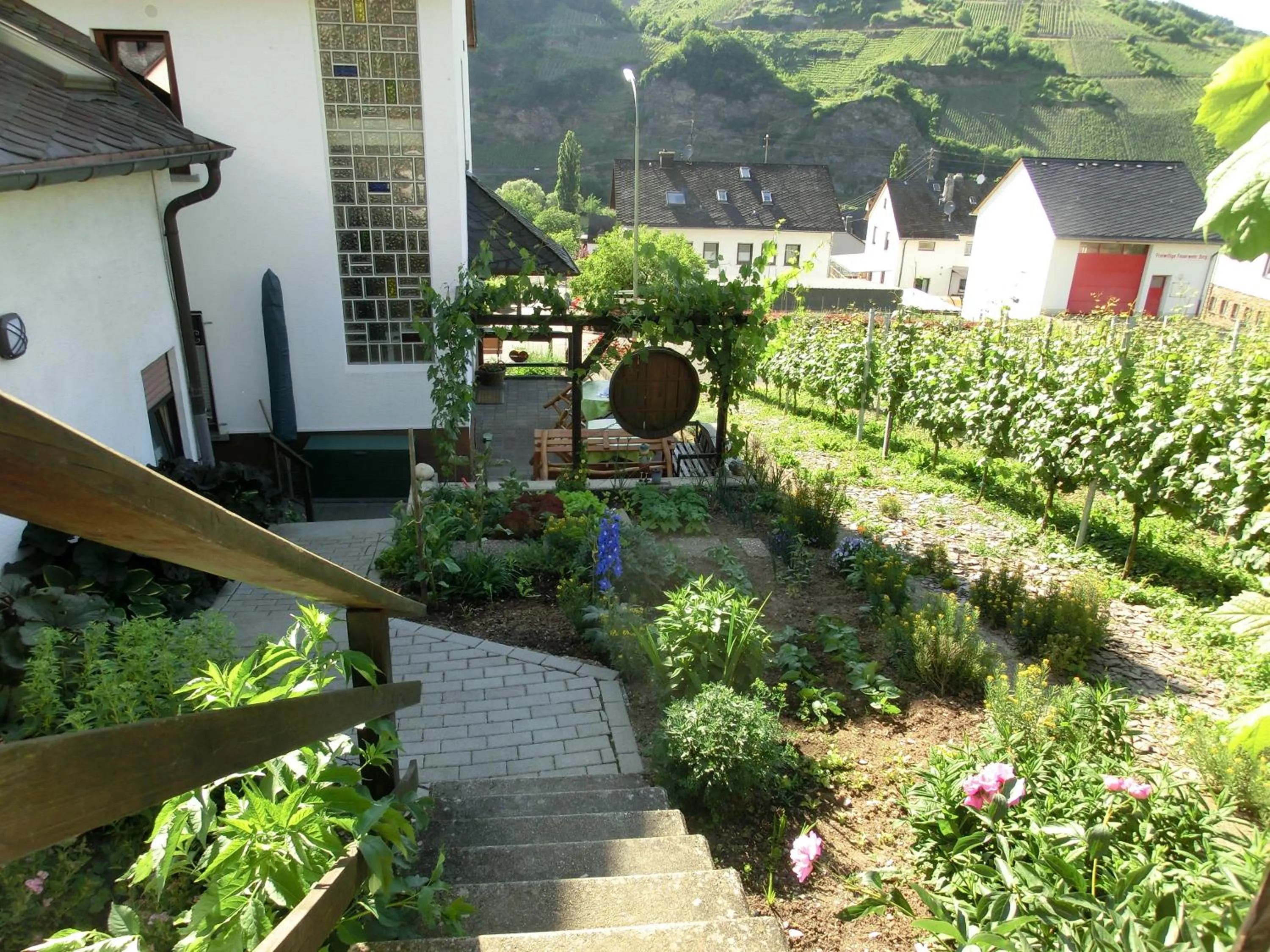 River view in Ferienweingut Hirschen Schulstraße