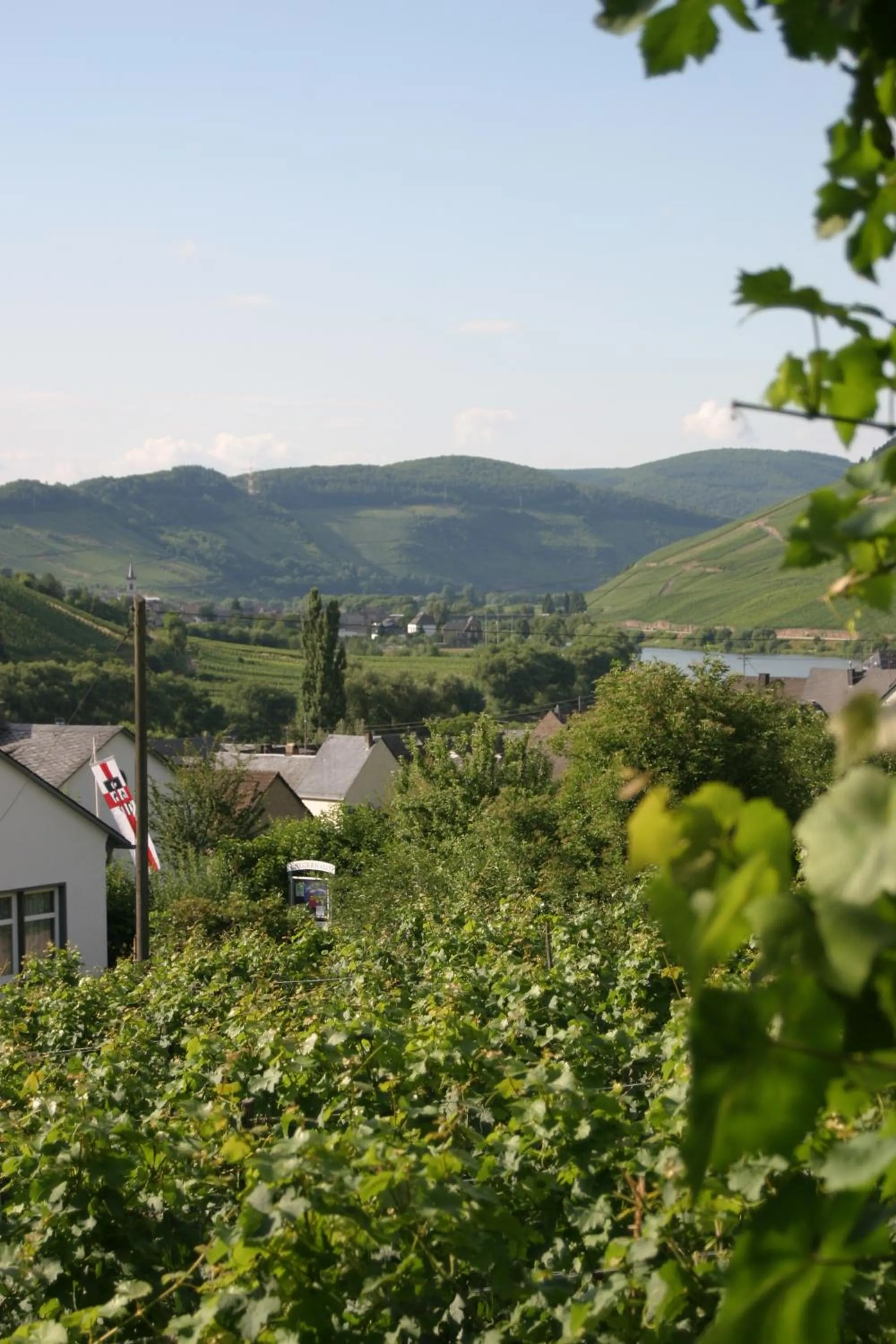 View (from property/room) in Ferienweingut Hirschen Schulstraße