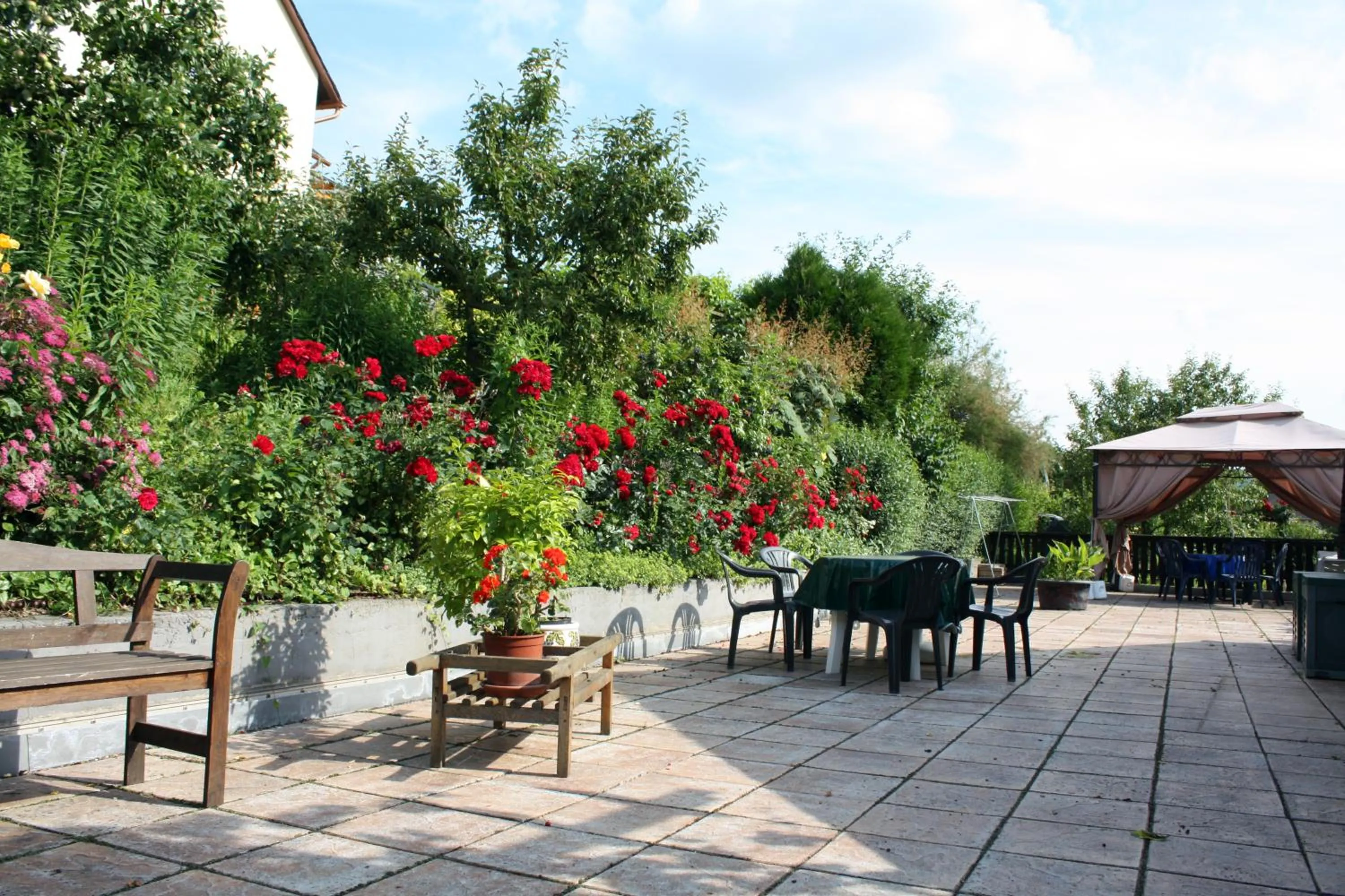 Balcony/Terrace in Ferienweingut Hirschen Schulstraße