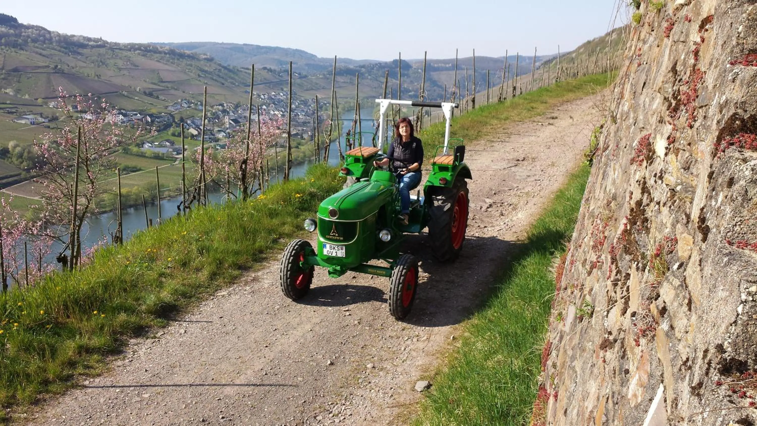 Entertainment in Ferienweingut Hirschen Schulstraße