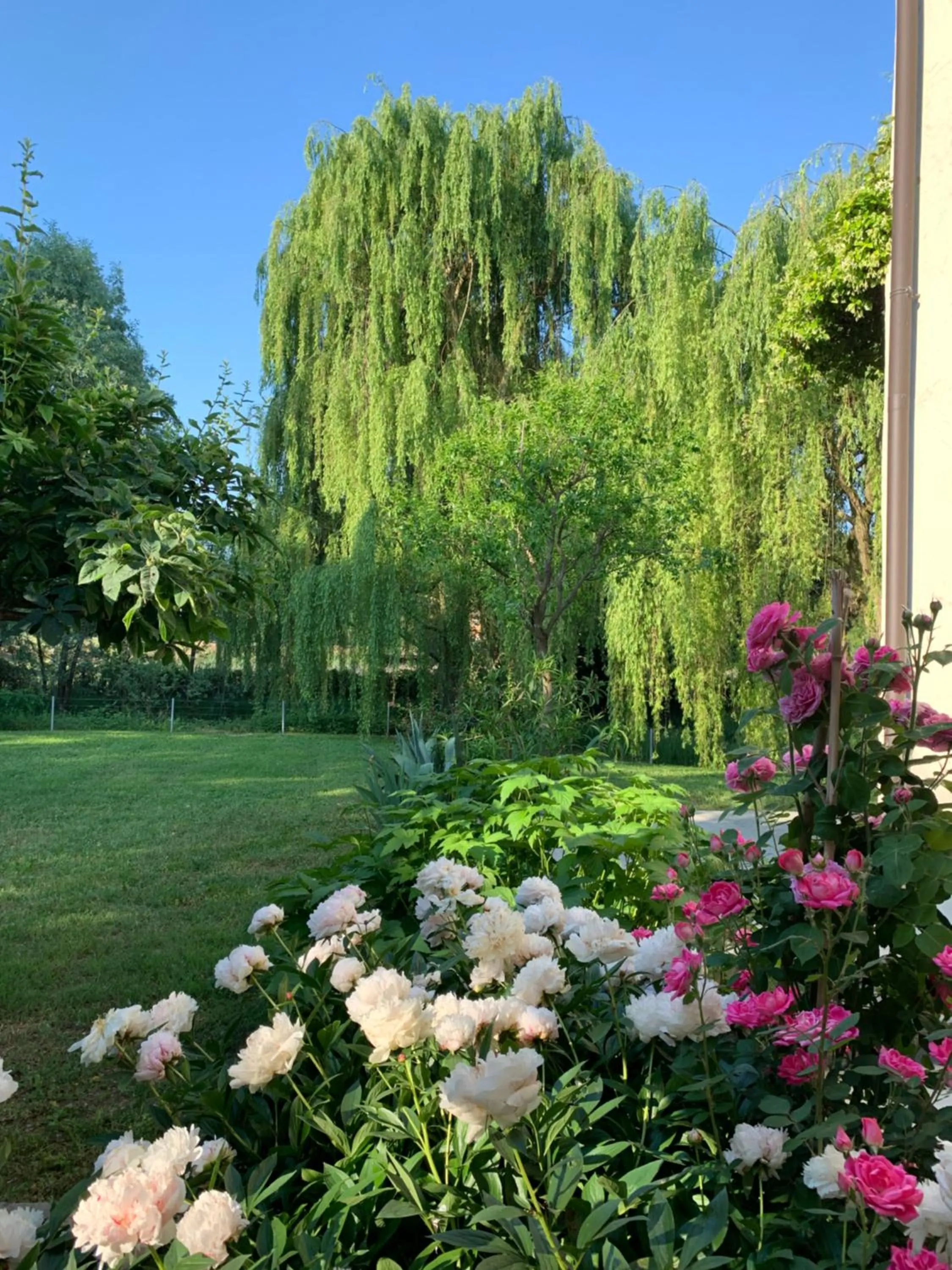 Property building in L'Isolo b&b e case vacanza