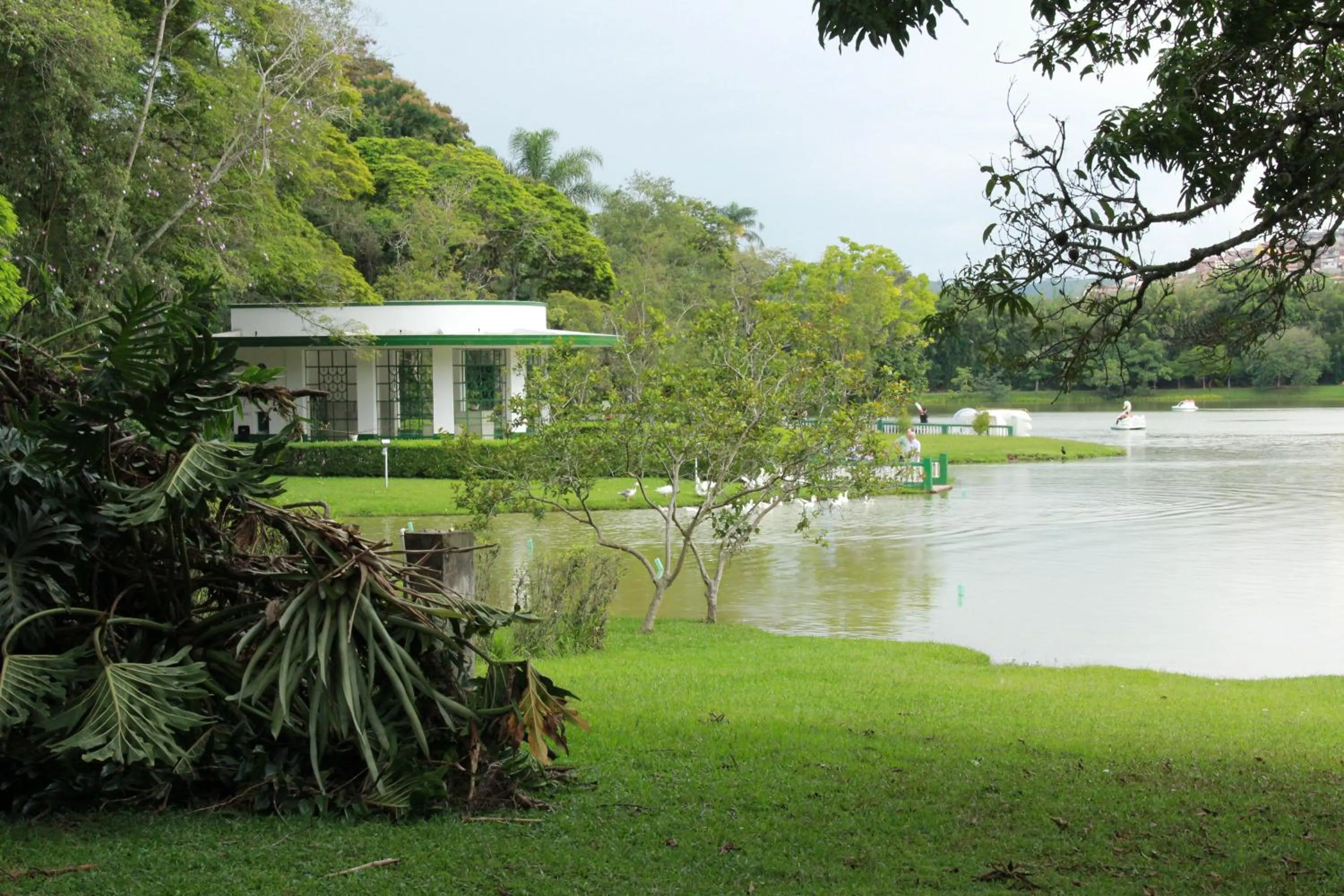 Activities in Hotel Metrópole
