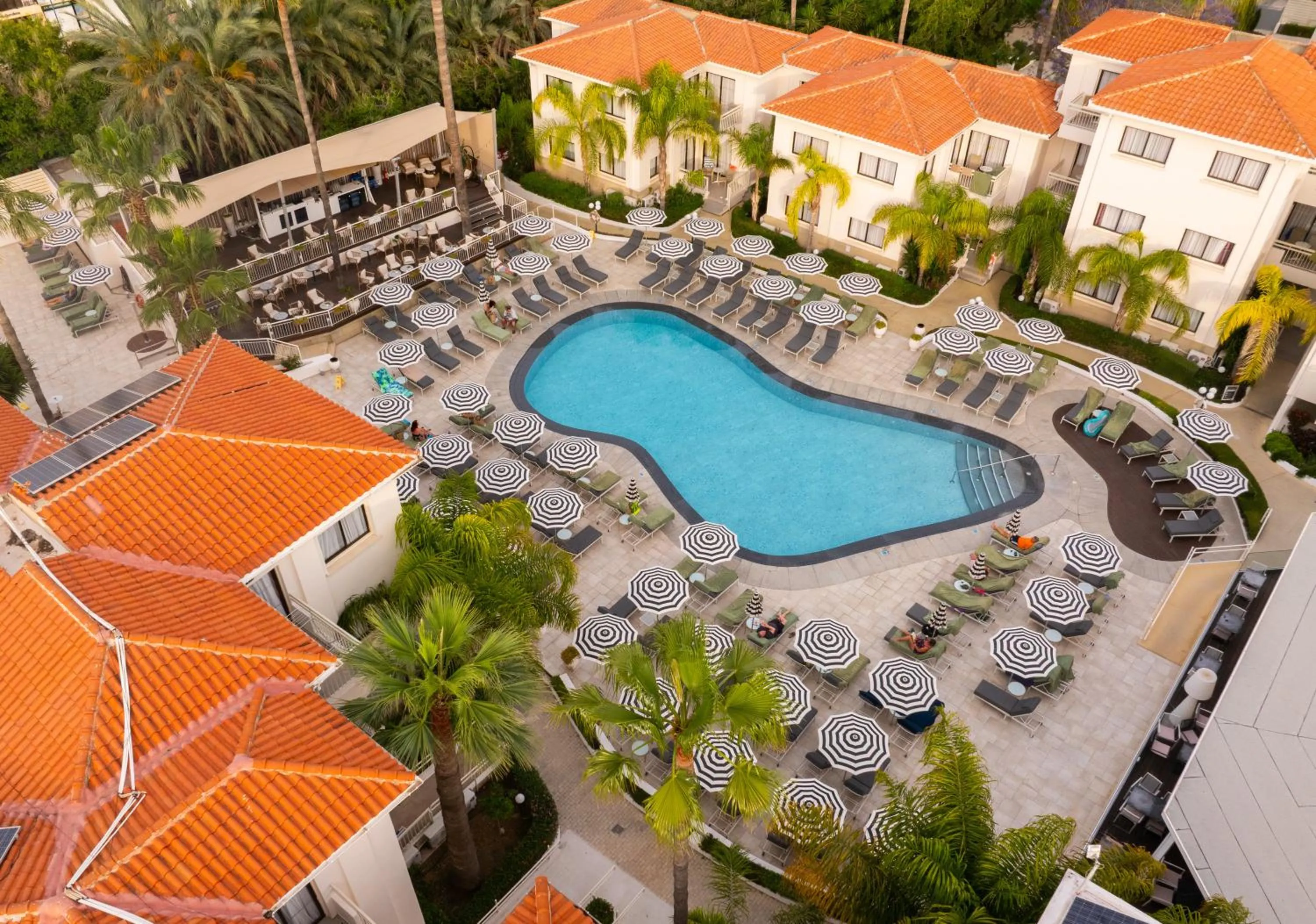 Swimming pool in King Jason Paphos - Designed for Adults by Louis Hotels