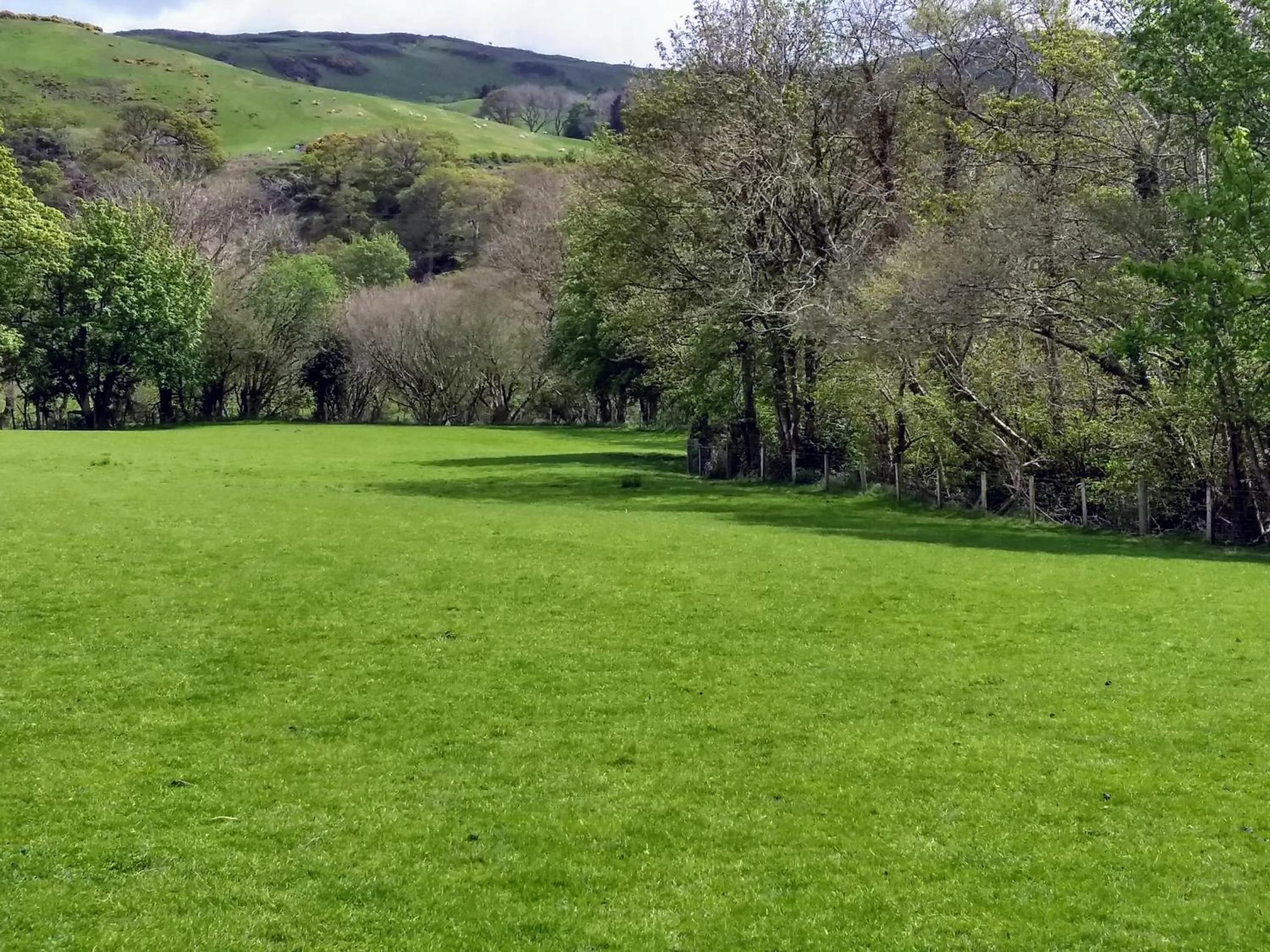 Garden view in Pentre ISAF