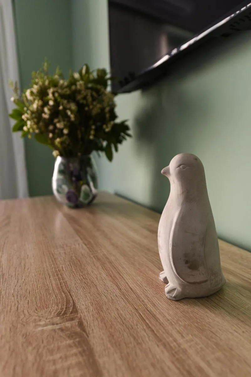 TV and multimedia in ATHENS STORIES