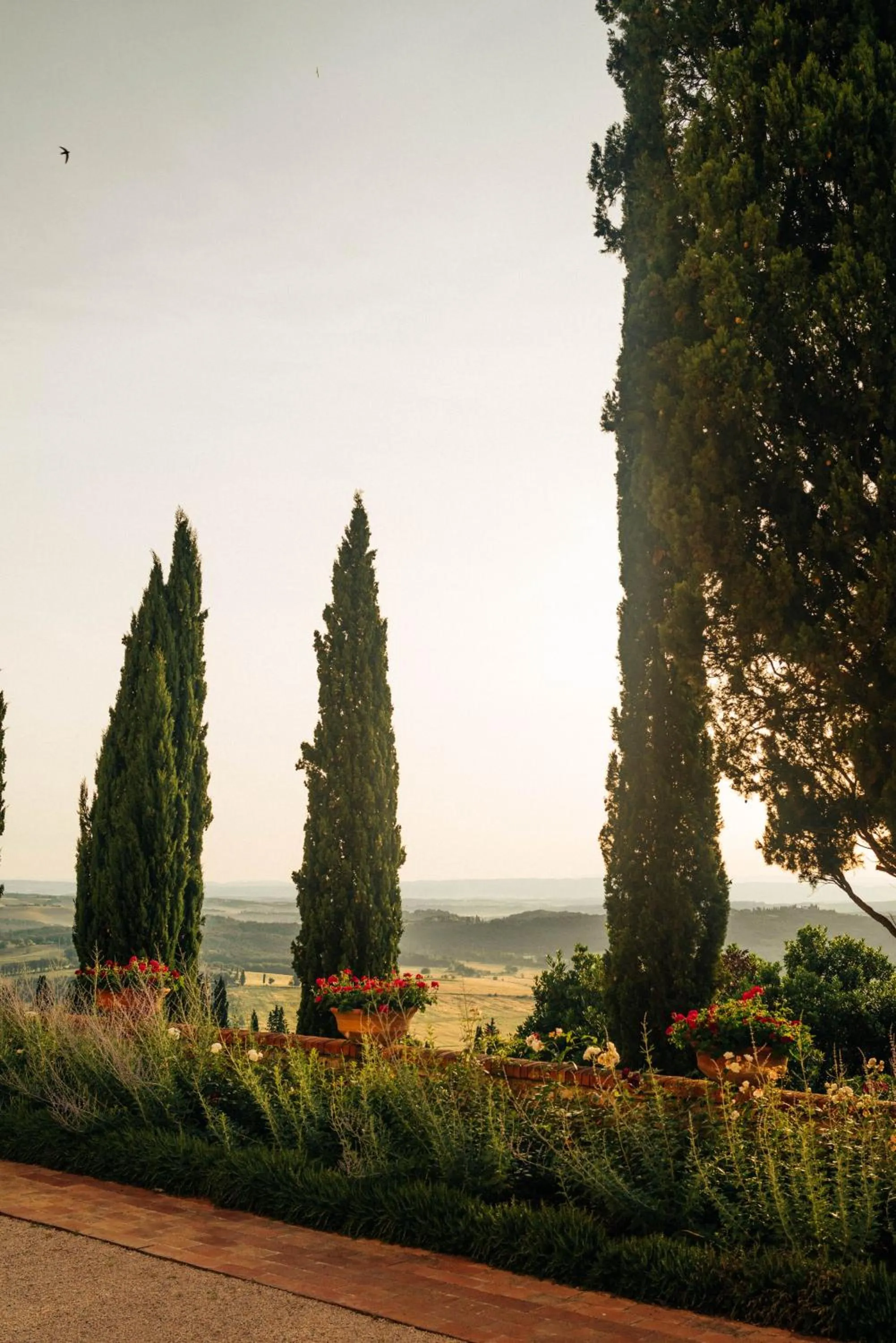 Natural landscape in Castello di Casole, A Belmond Hotel, Tuscany