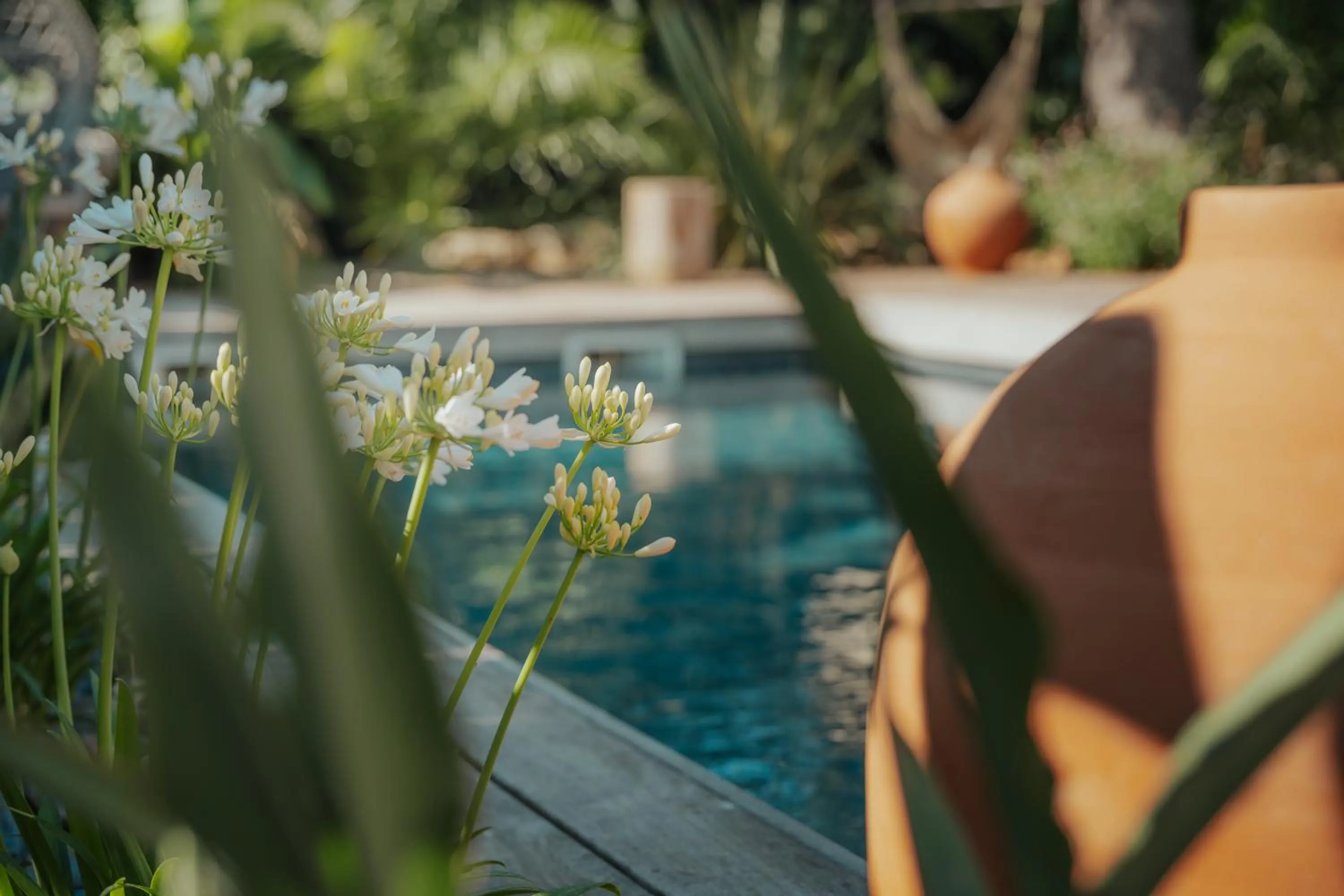Swimming pool in L'Oasis Vendargues