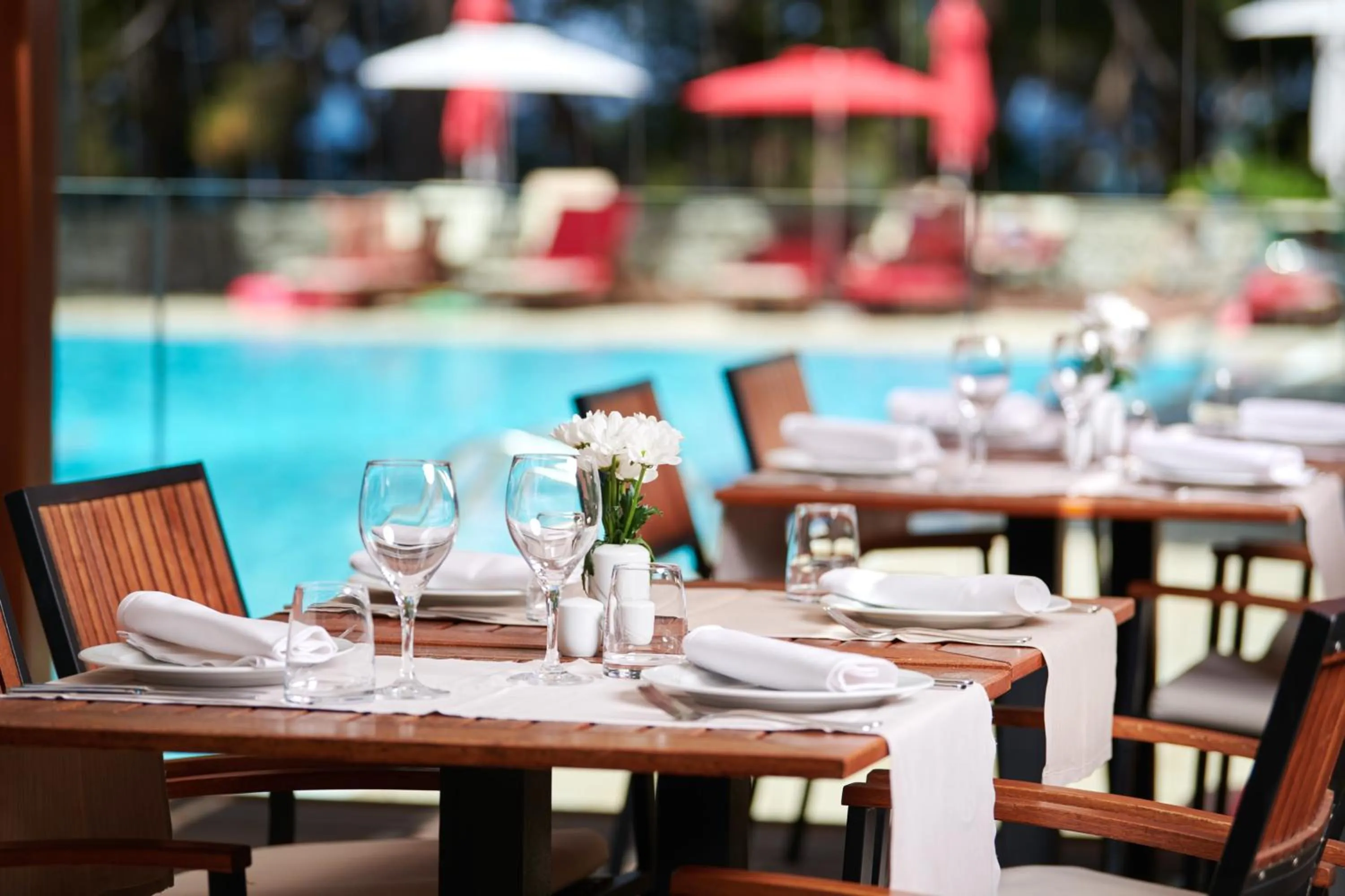 Restaurant/places to eat in Villa Galijot Plava Laguna